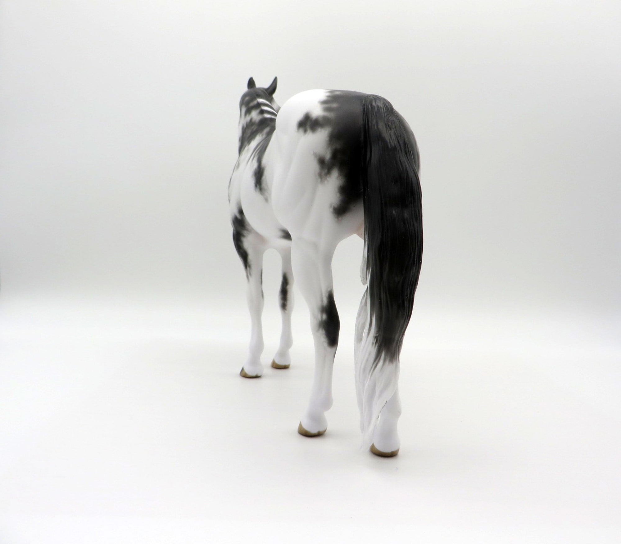 Free Fall-OOAK Appaloosa ISH 4/26/21