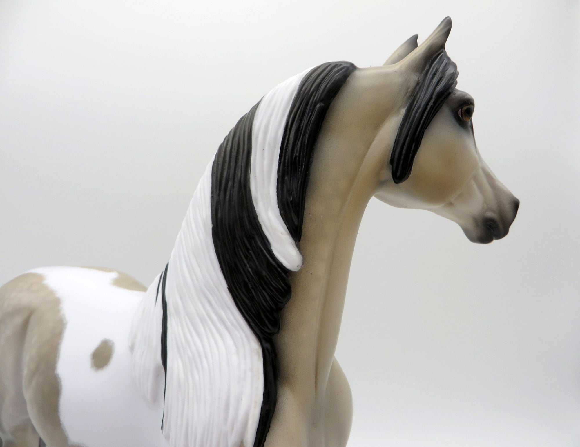 Free Speech | Dapple Buckskin Tobiano Morgan by Audrey Dixon | 7/1/21