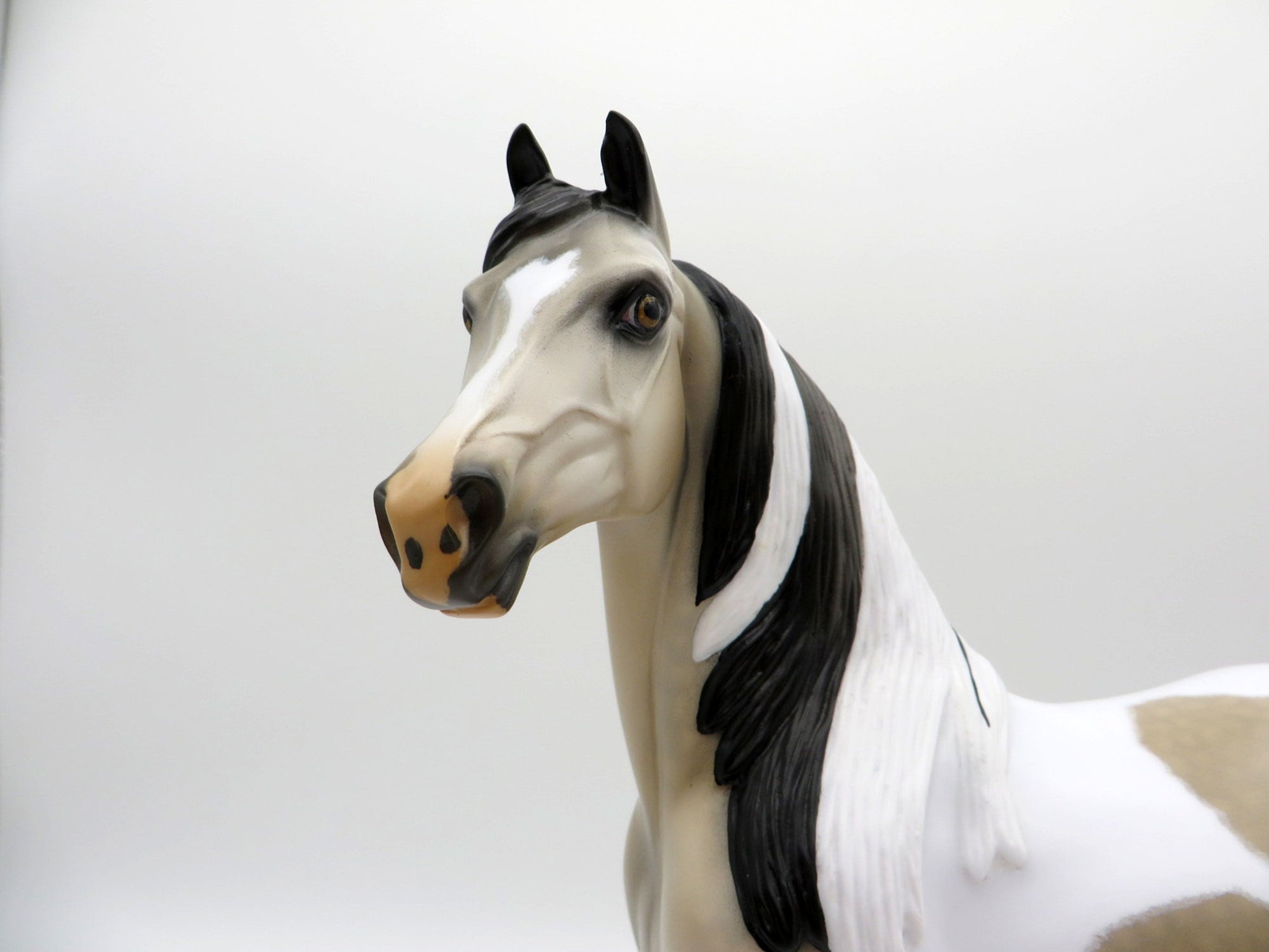 Free Speech | Dapple Buckskin Tobiano Morgan by Audrey Dixon | 7/1/21