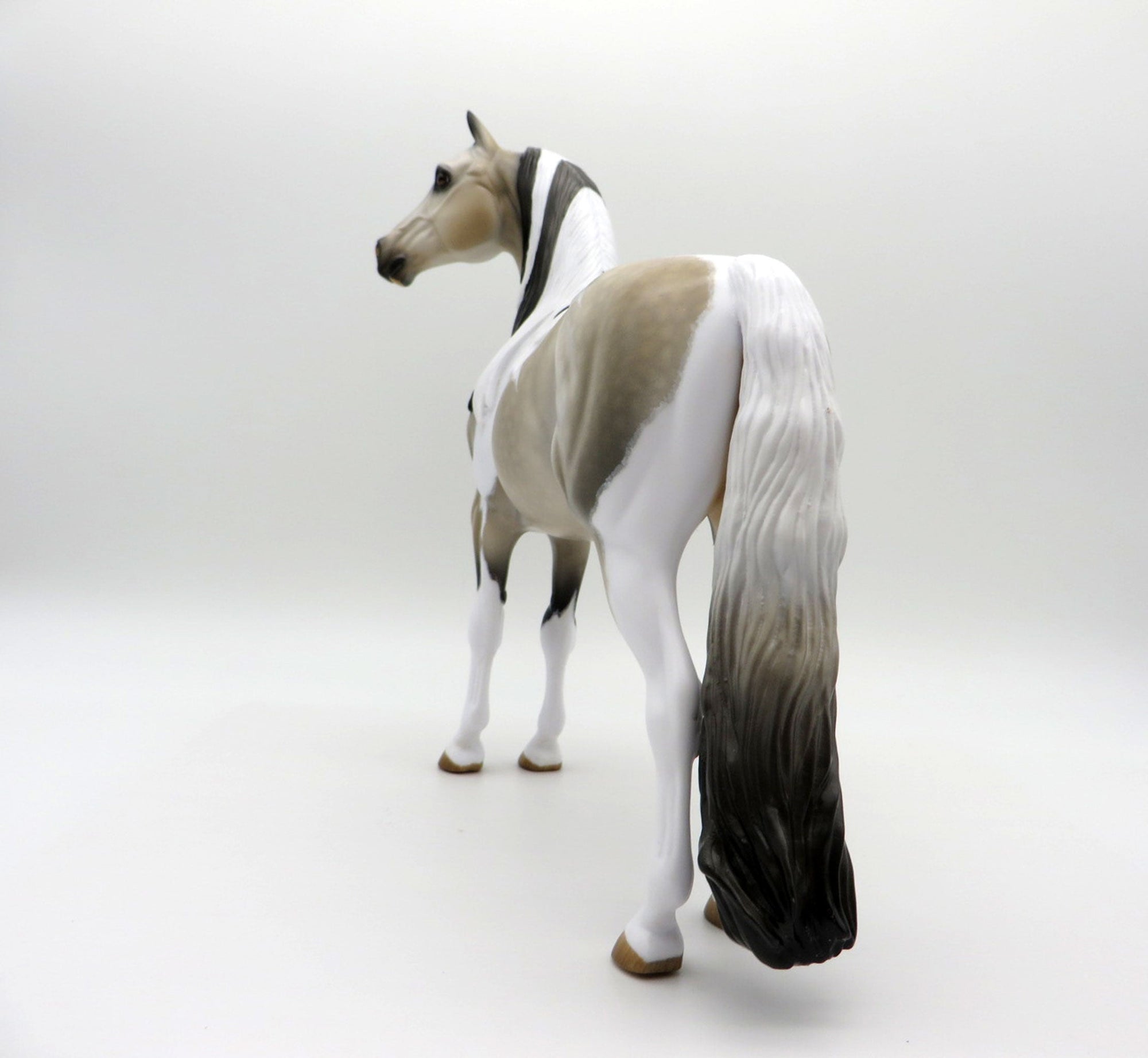 Free Speech | Dapple Buckskin Tobiano Morgan by Audrey Dixon | 7/1/21