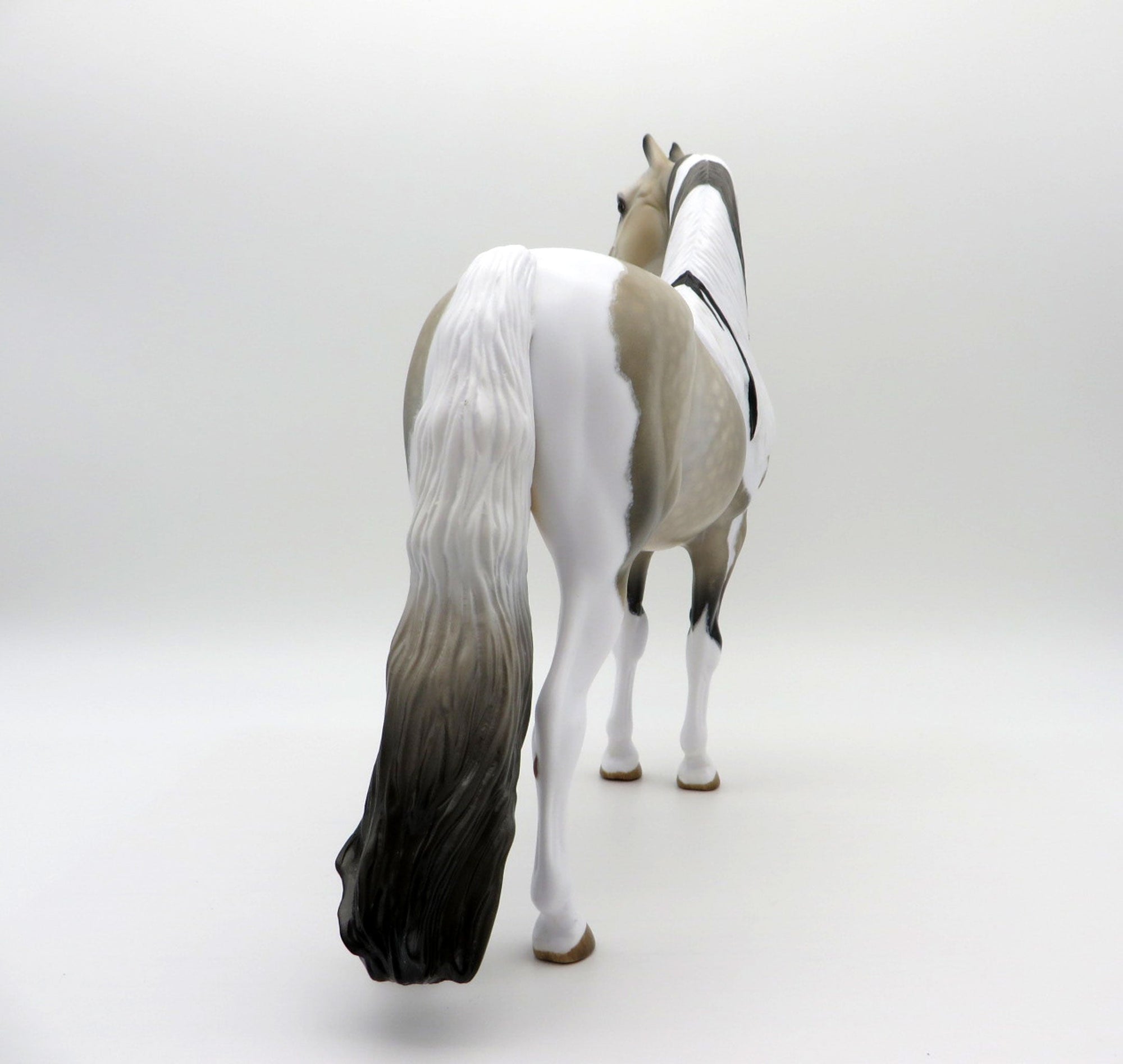 Free Speech | Dapple Buckskin Tobiano Morgan by Audrey Dixon | 7/1/21