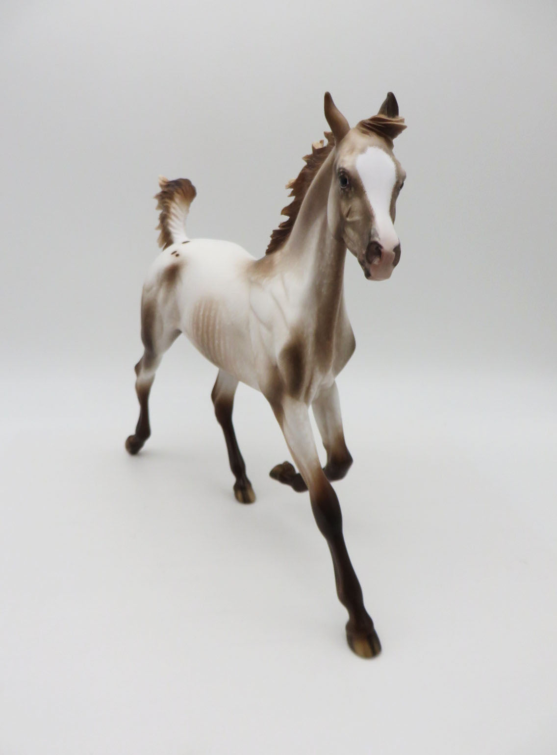 Frolic - OOAK - Varnish Appy Yearling by Sheryl Leisure Best Offer 1/23/23