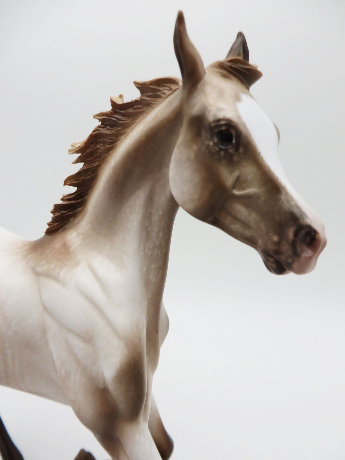 Frolic - OOAK - Varnish Appy Yearling by Sheryl Leisure Best Offer 1/23/23