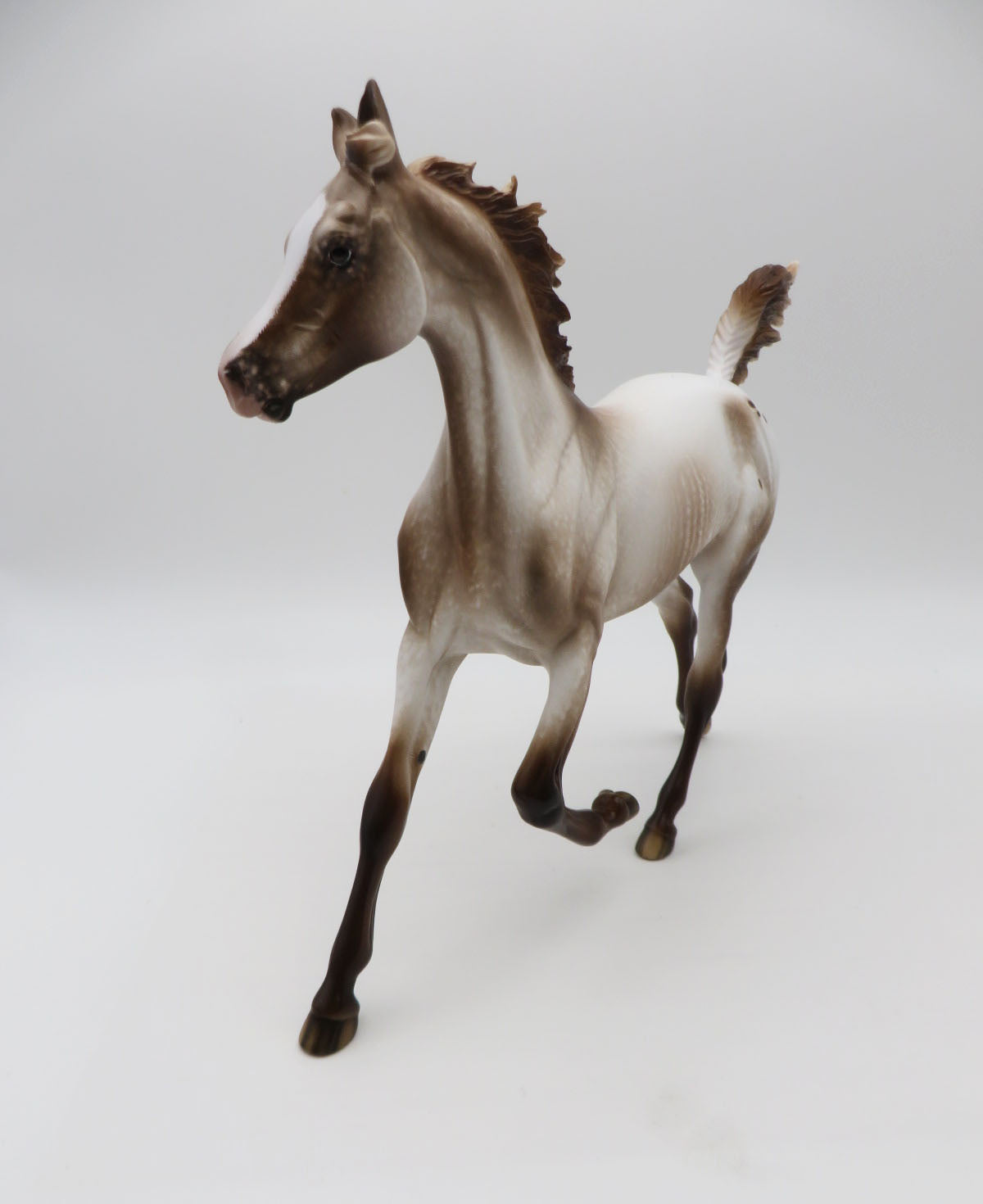 Frolic - OOAK - Varnish Appy Yearling by Sheryl Leisure Best Offer 1/23/23