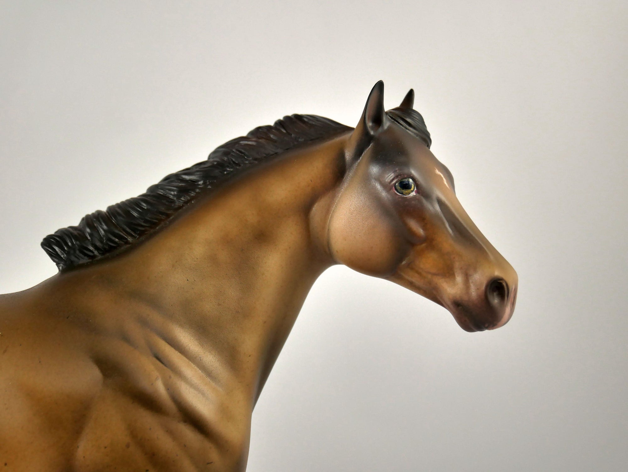 Fruit Cake-OOAK Champagne Appaloosa ISH Painted By Julie Keim 12/30/20