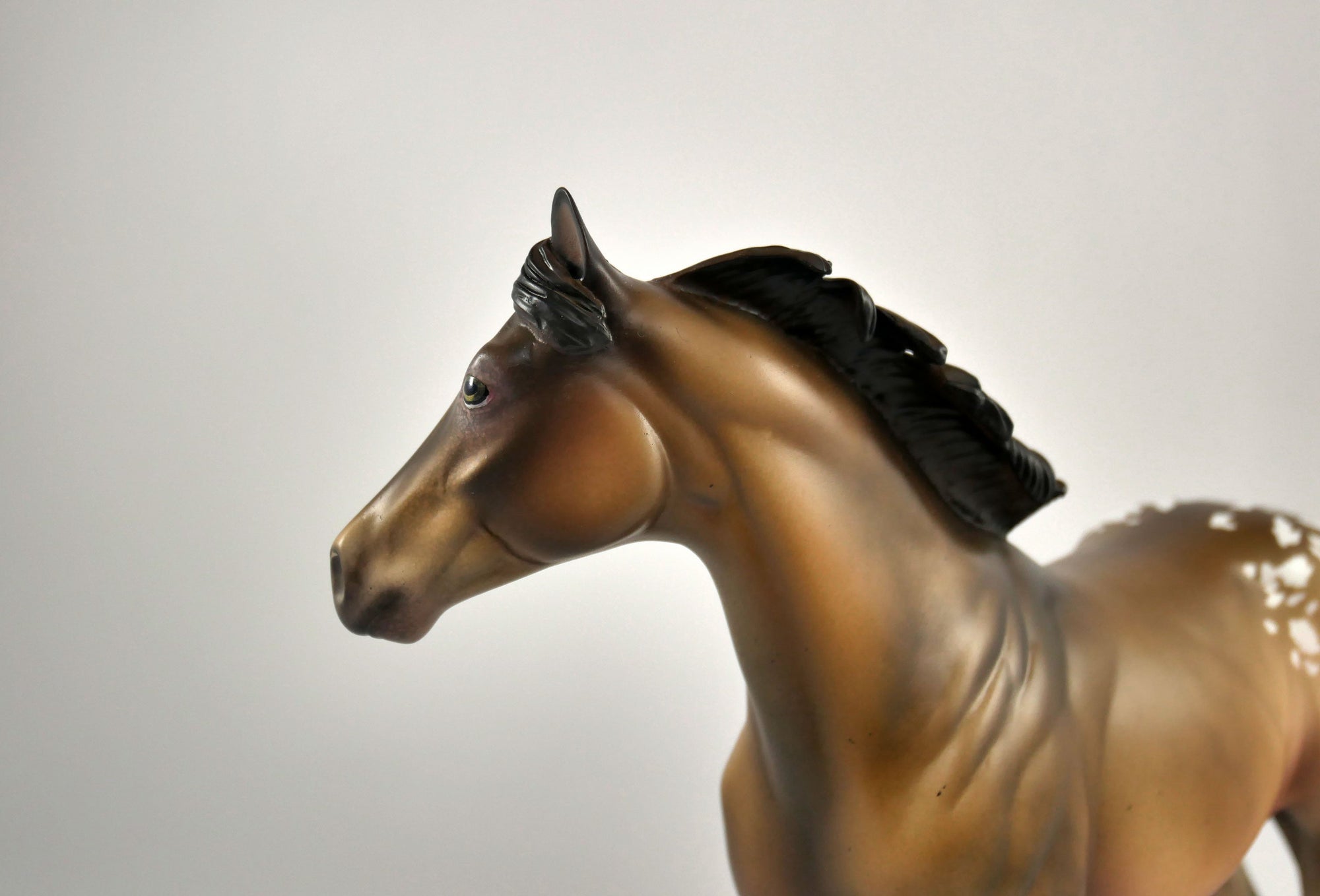 Fruit Cake-OOAK Champagne Appaloosa ISH Painted By Julie Keim 12/30/20