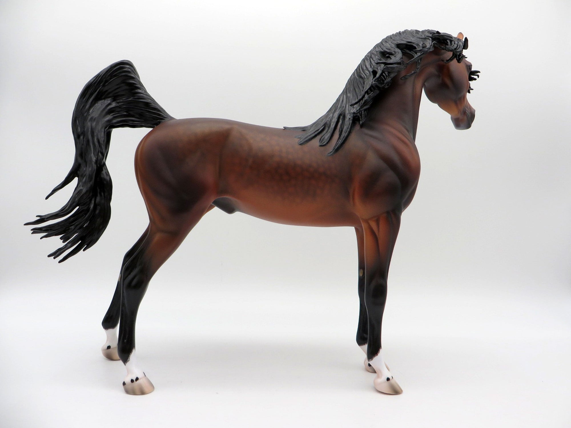 Fuji-OOAK Dapple Bay Arabian Painted By Caroline Boydston 6/22/21