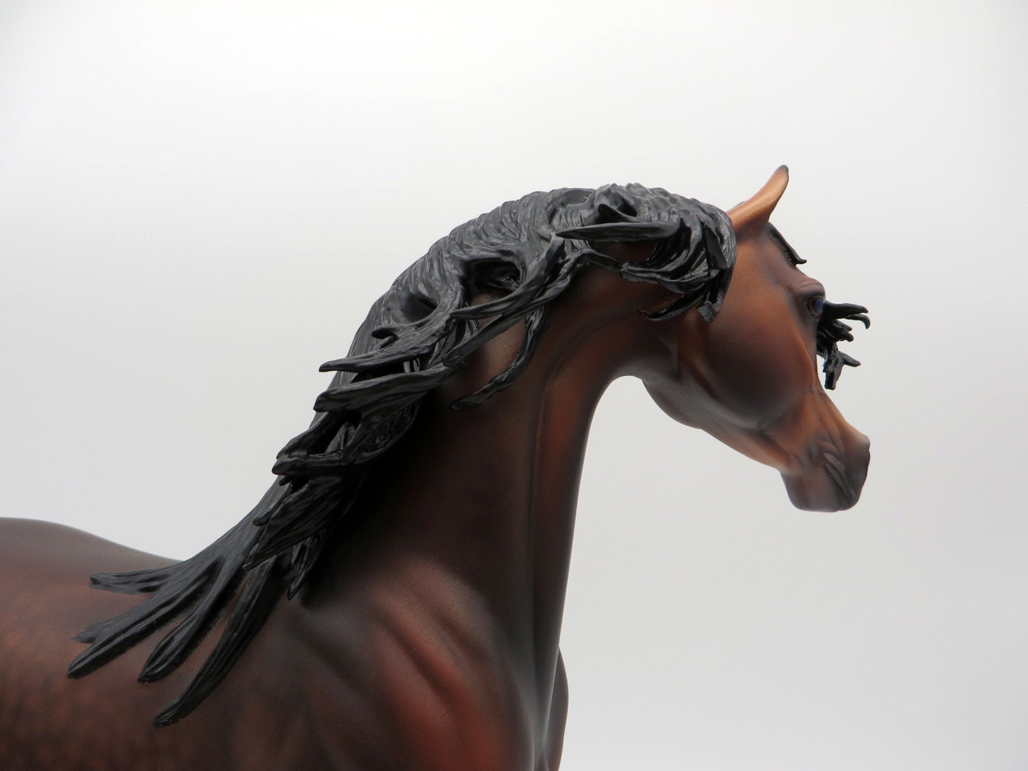 Fuji-OOAK Dapple Bay Arabian Painted By Caroline Boydston 6/22/21