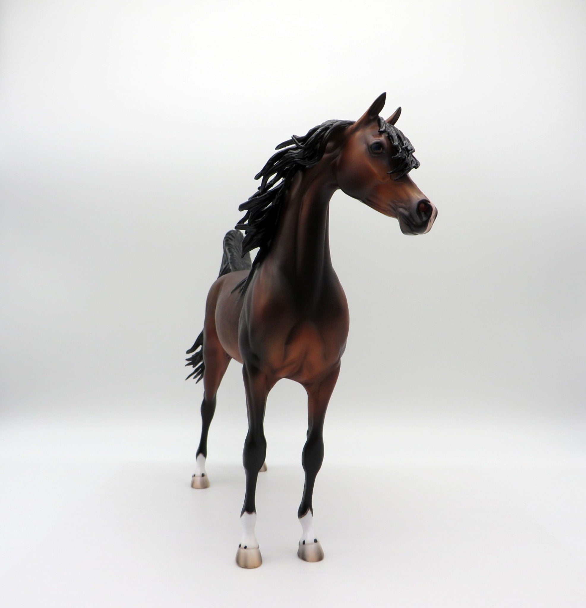 Fuji-OOAK Dapple Bay Arabian Painted By Caroline Boydston 6/22/21