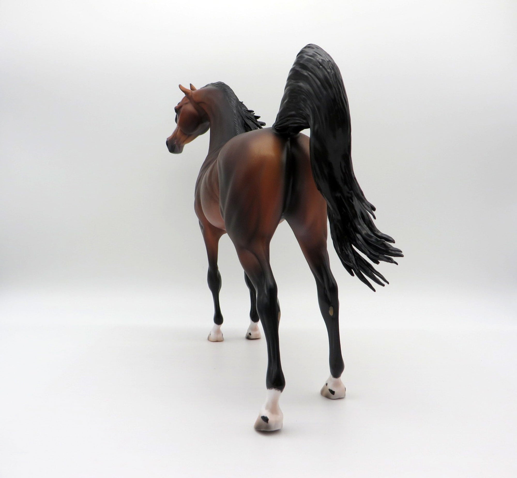 Fuji-OOAK Dapple Bay Arabian Painted By Caroline Boydston 6/22/21