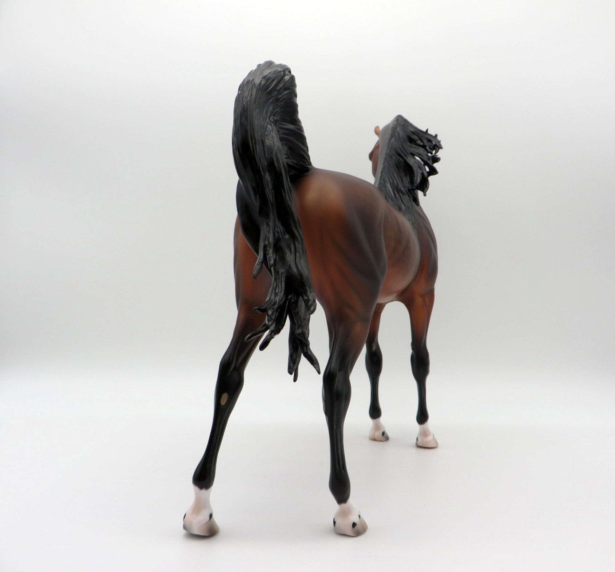 Fuji-OOAK Dapple Bay Arabian Painted By Caroline Boydston 6/22/21
