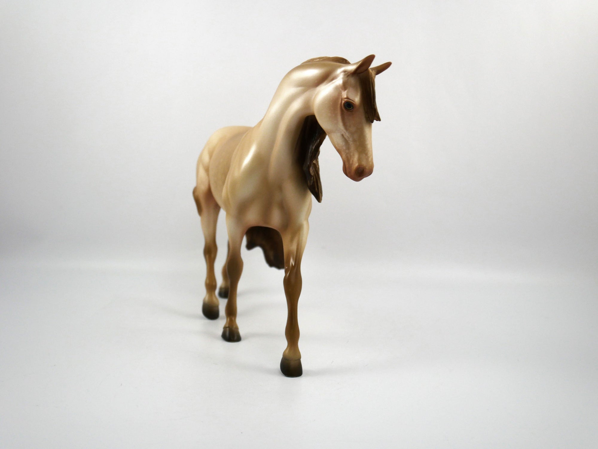 Fumble-LE-7 Champagne Pony SB21