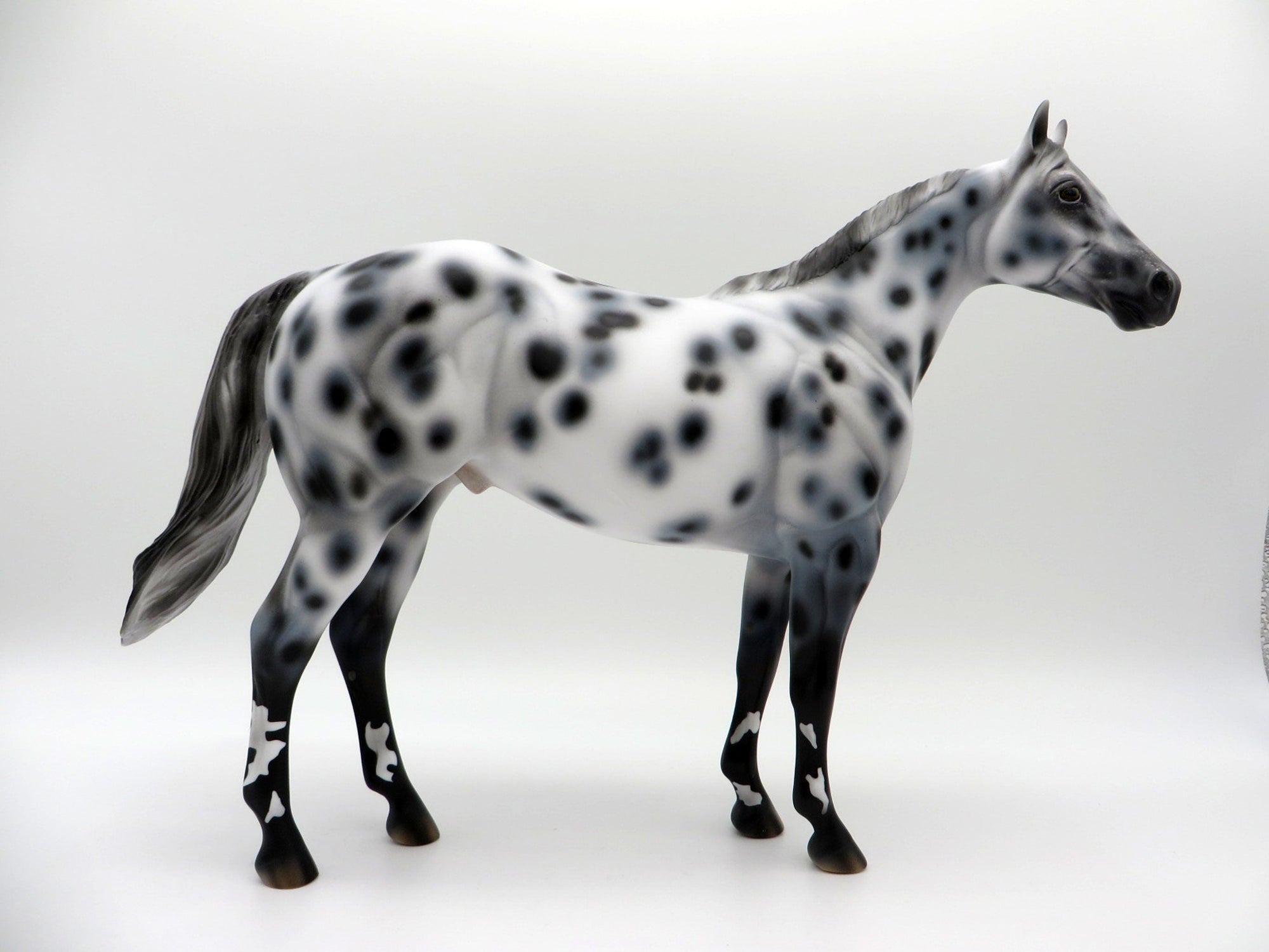 Funnel Cloud-OOAK Appaloosa ISH SHCF 2021