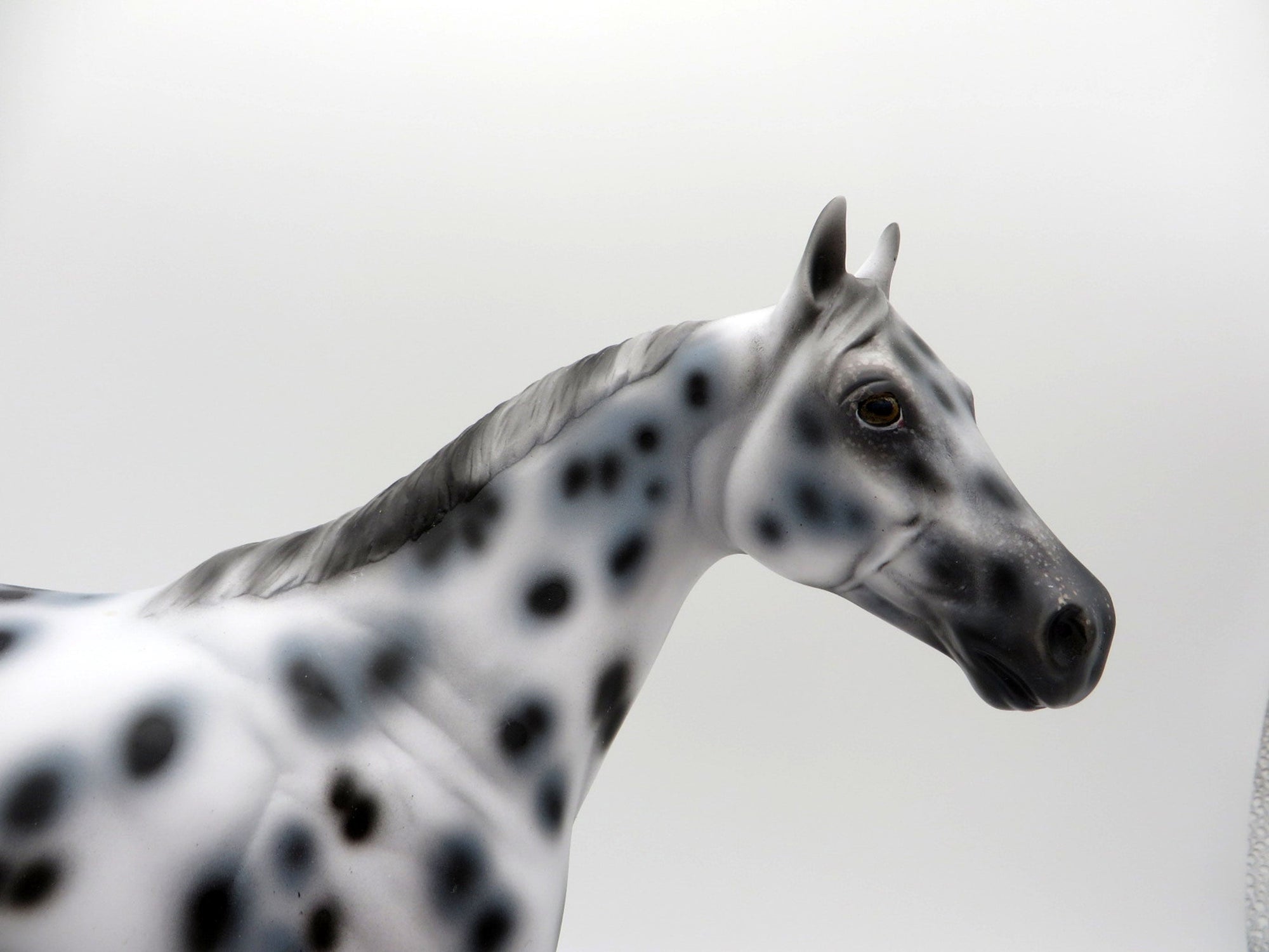 Funnel Cloud-OOAK Appaloosa ISH SHCF 2021