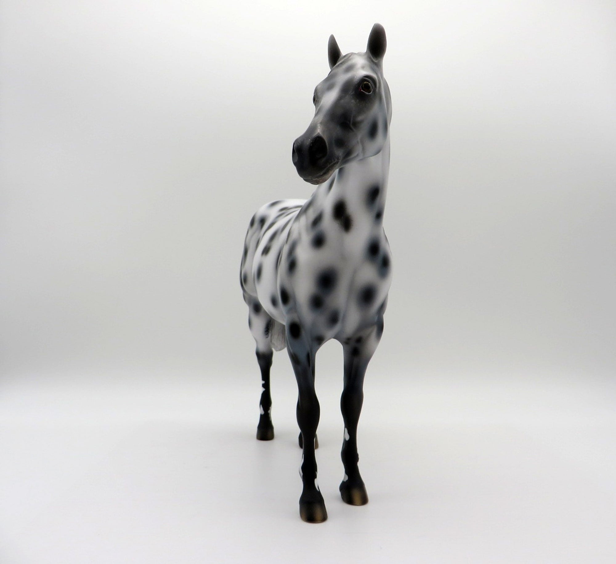 Funnel Cloud-OOAK Appaloosa ISH SHCF 2021