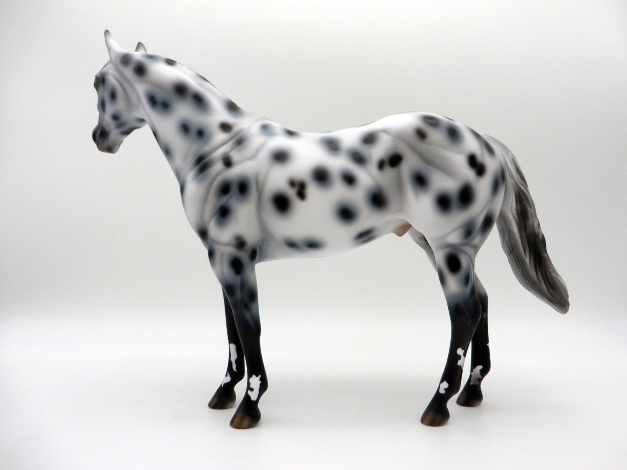 Funnel Cloud-OOAK Appaloosa ISH SHCF 2021