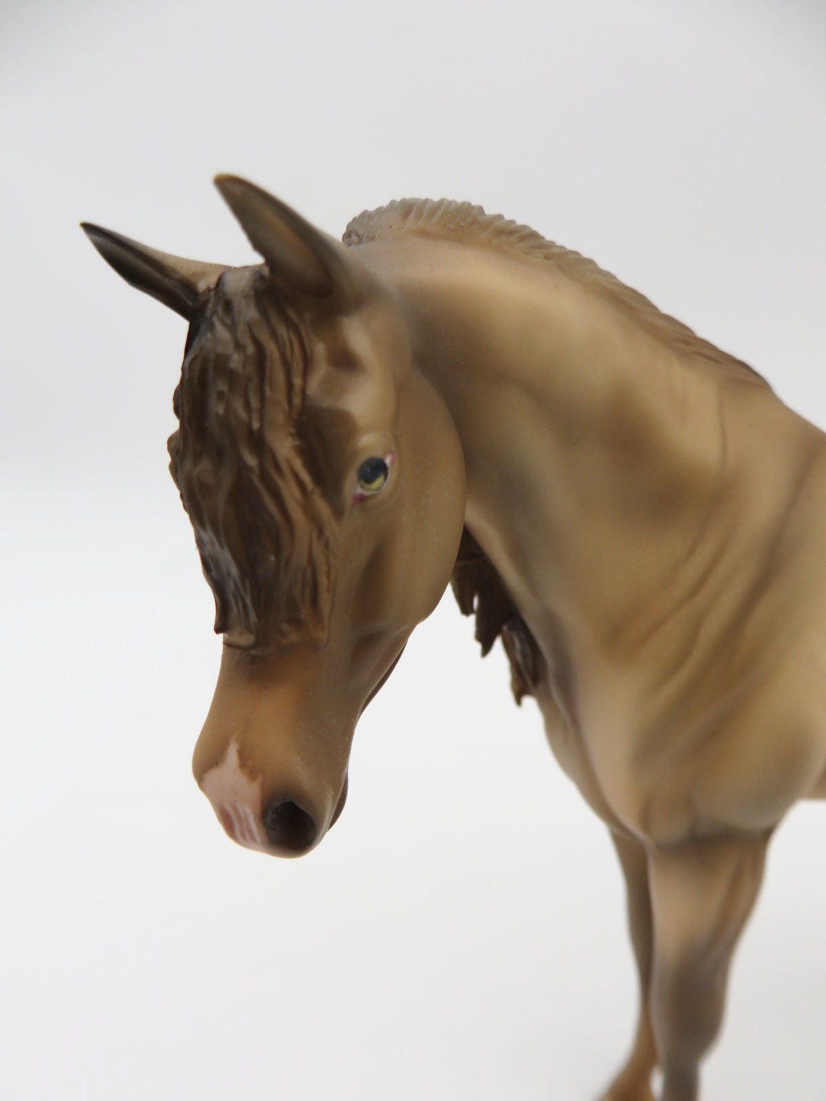 Gracious - OOAK - Champaigne Arabian Pebbles by Donna Fredley - P&C 23