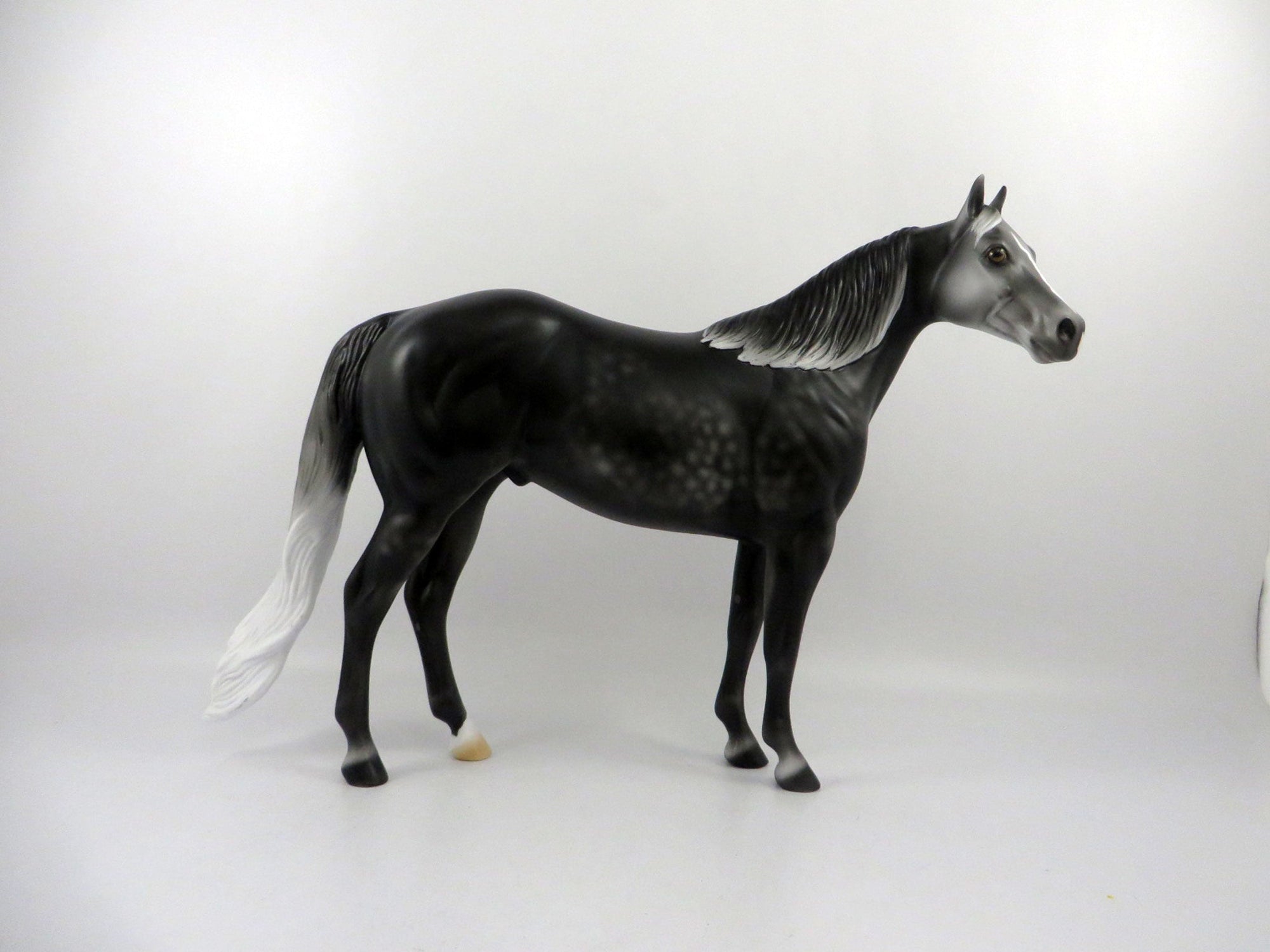 Gaelic-OOAK Dark Dapple Grey ISH 2/24/21