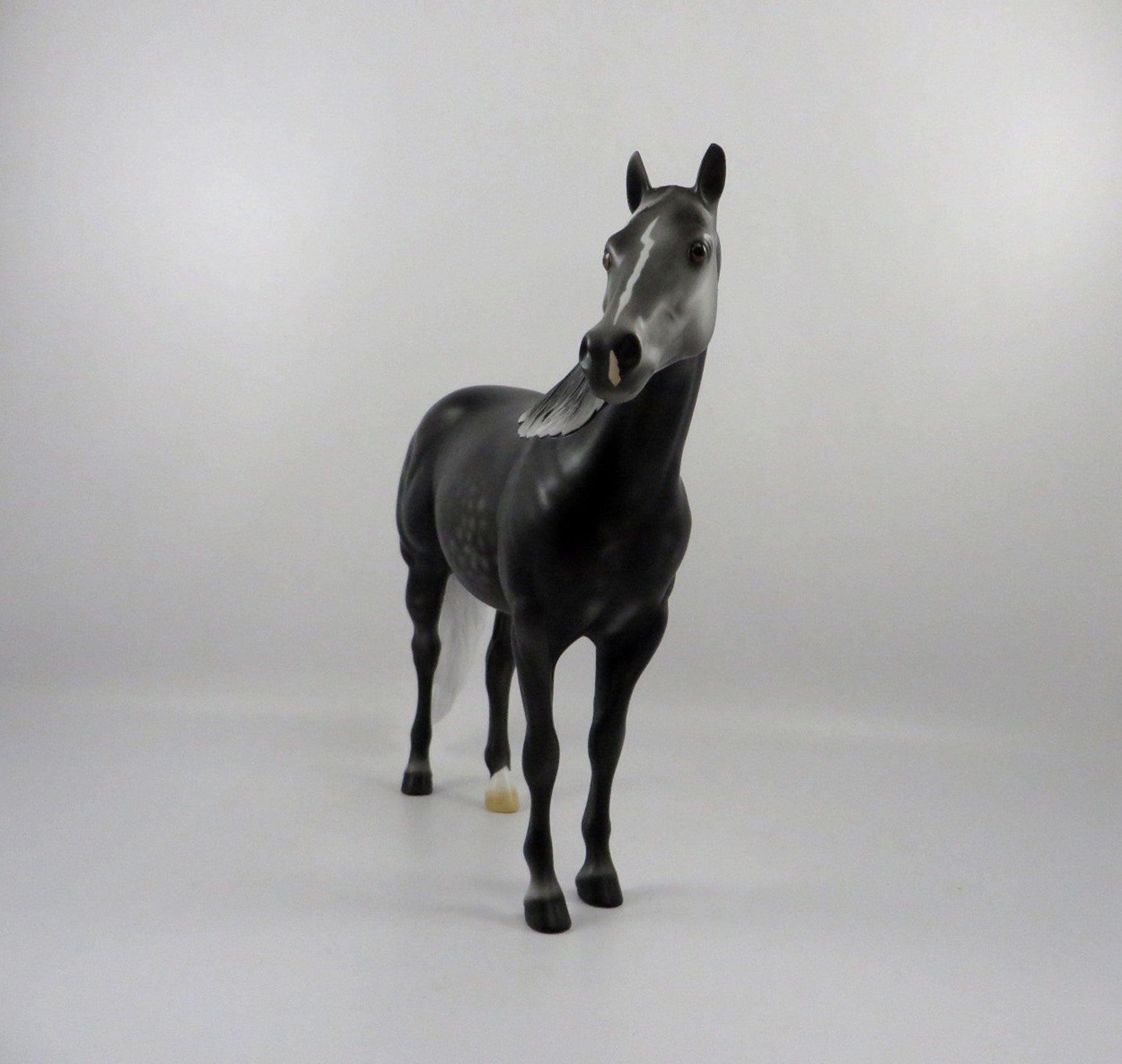 Gaelic-OOAK Dark Dapple Grey ISH 2/24/21