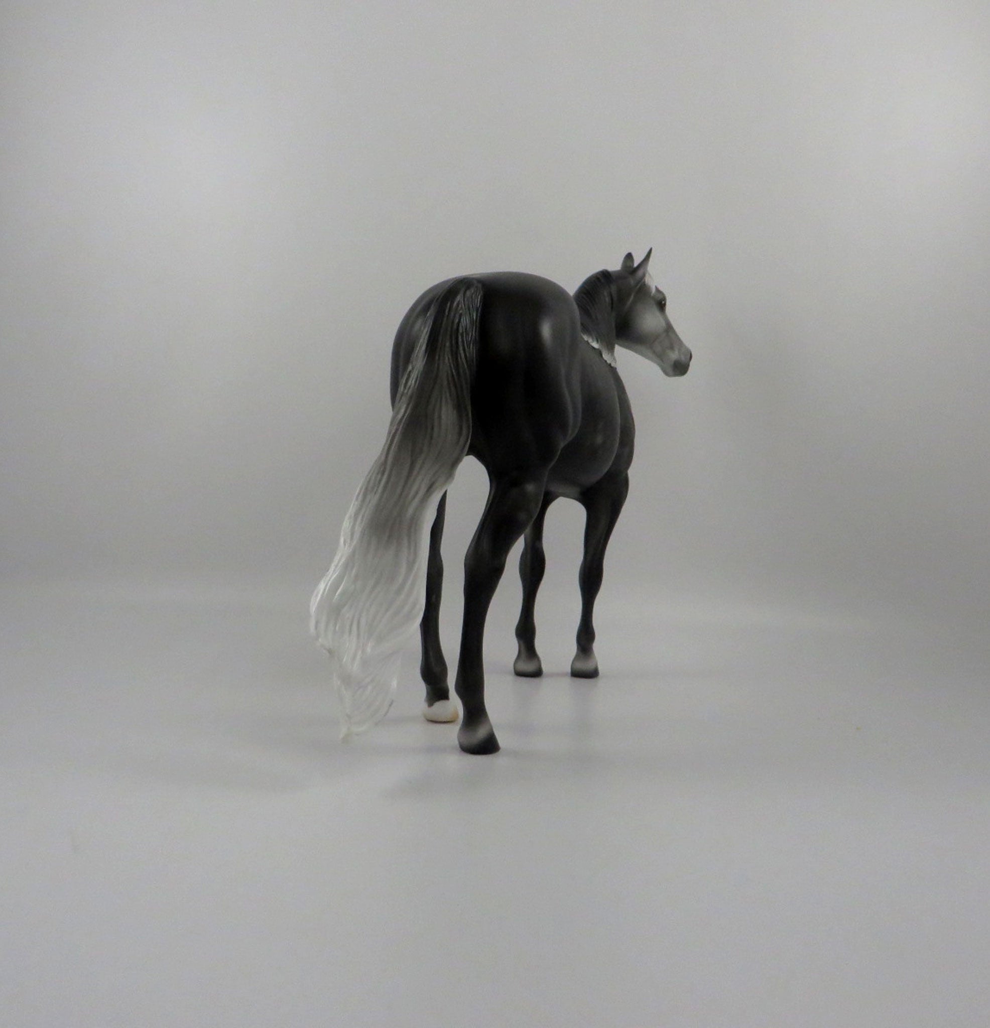 Gaelic-OOAK Dark Dapple Grey ISH 2/24/21