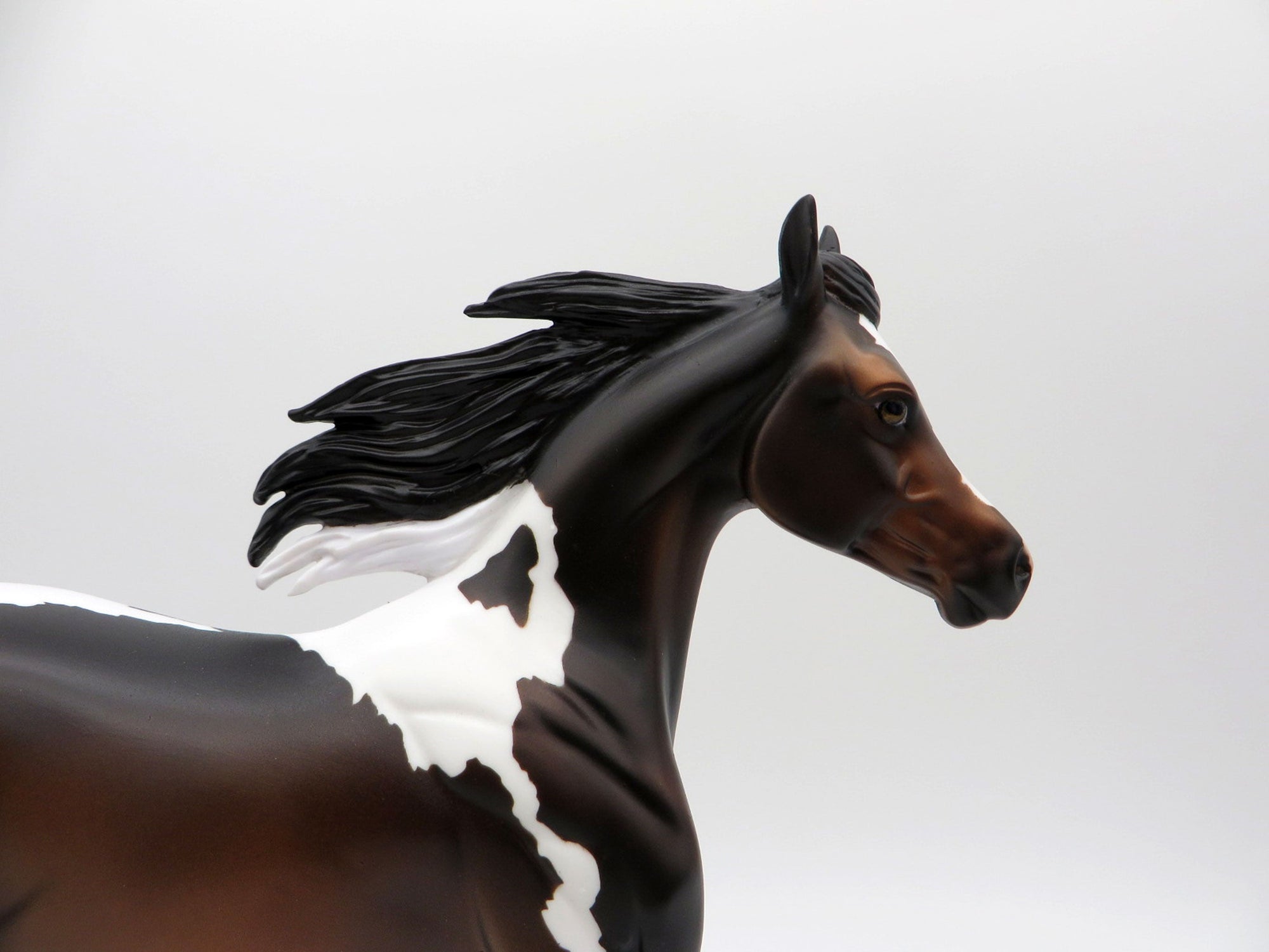 Gale-OOAK Bay Paint Yearling SHCF 2021