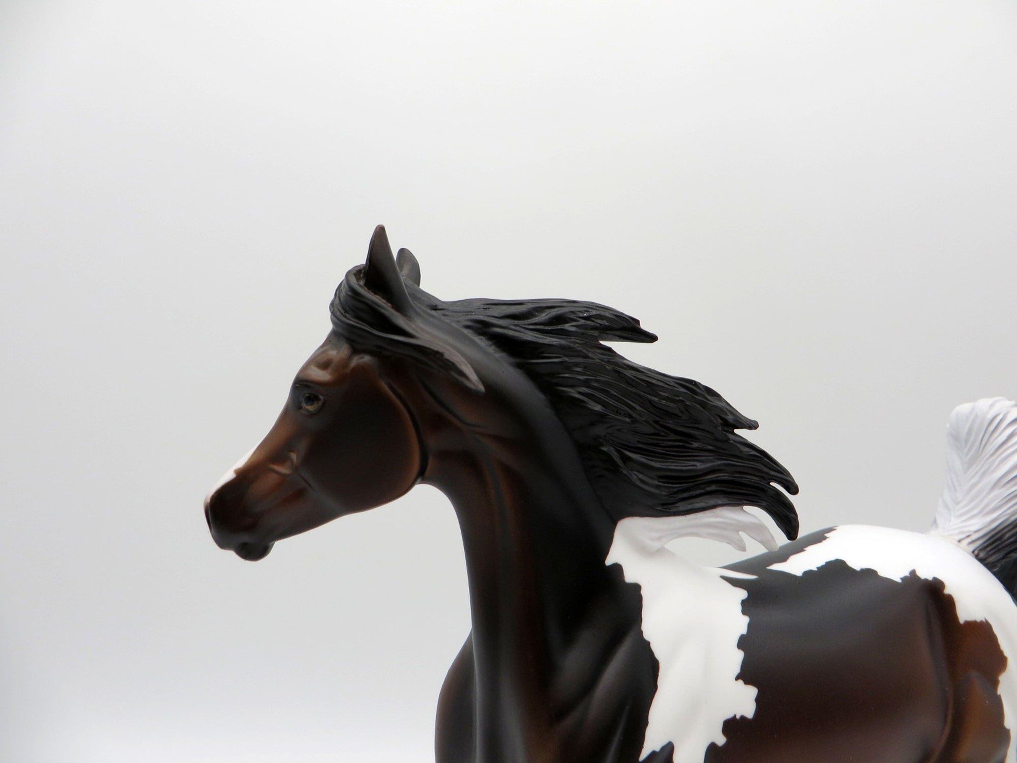 Gale-OOAK Bay Paint Yearling SHCF 2021