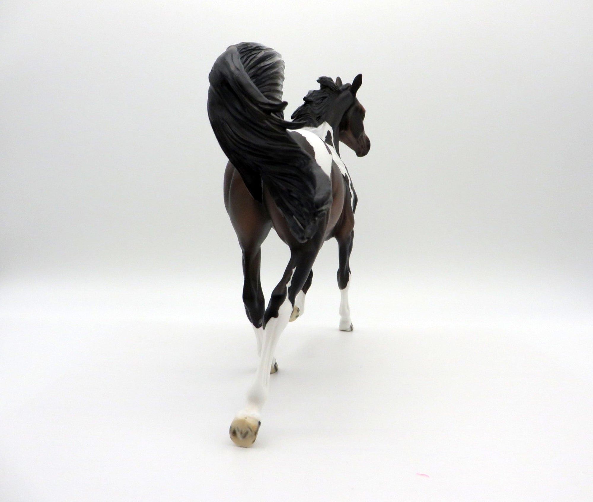 Gale-OOAK Bay Paint Yearling SHCF 2021