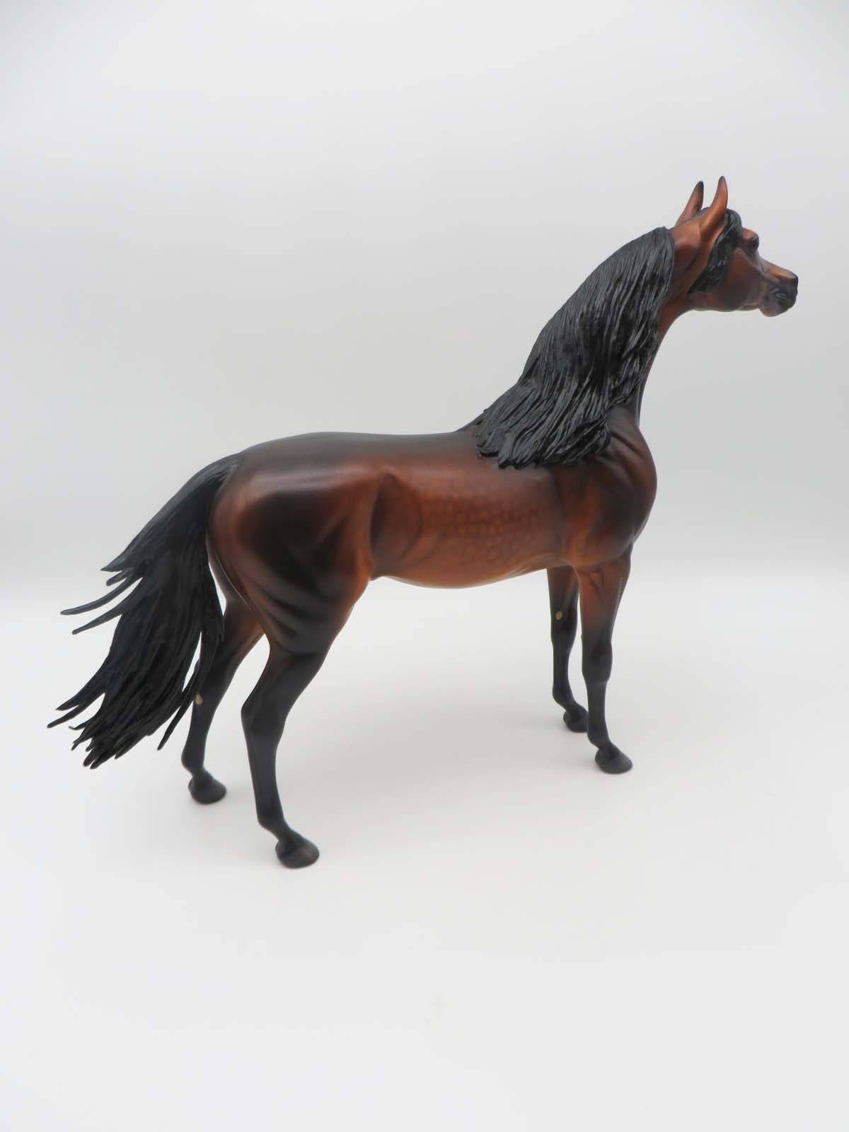 Gallagher- OOAK -Dapple Bay Arabian- By Caroline Boydston Best Offer 3/27/23