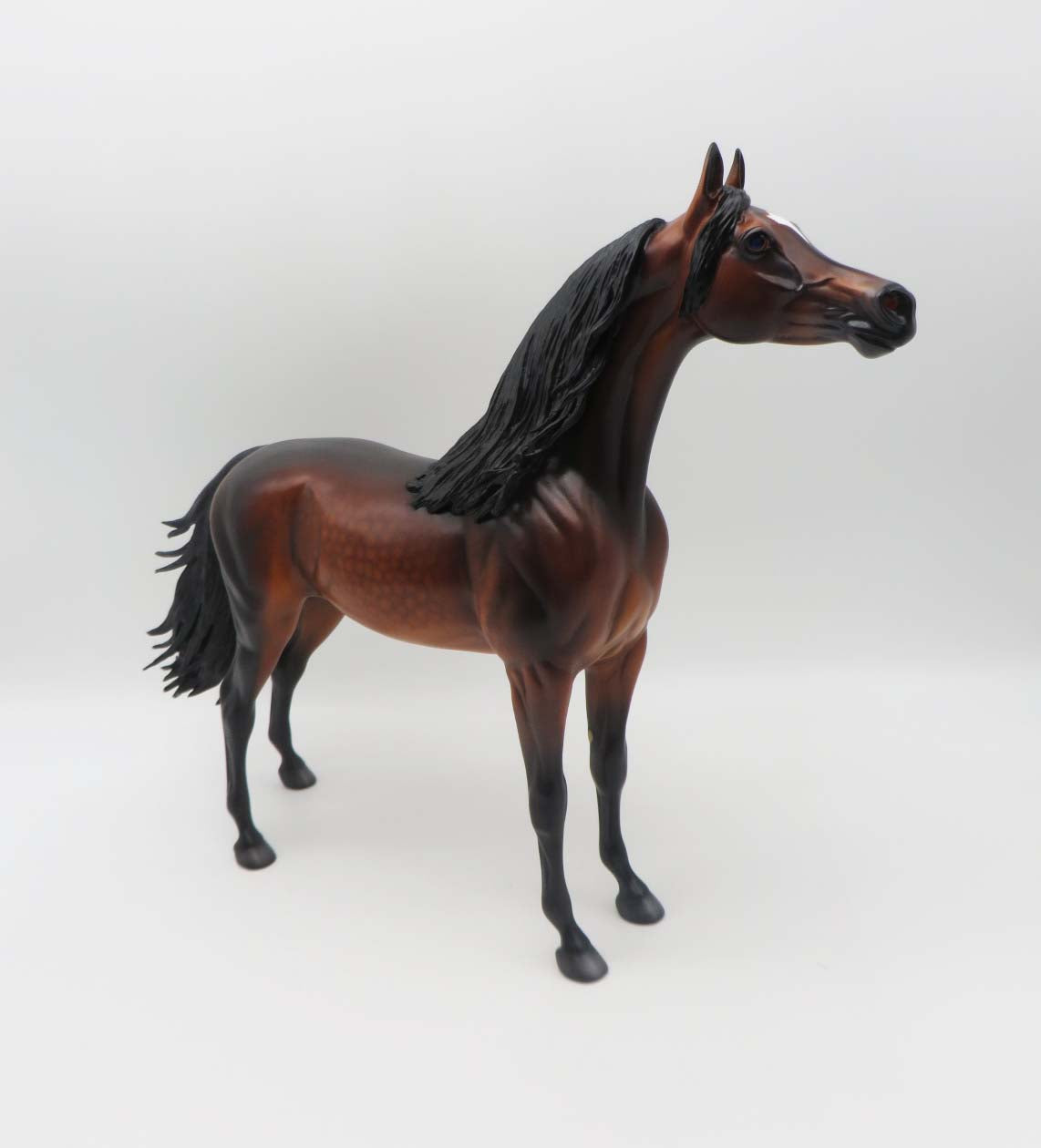 Gallagher- OOAK -Dapple Bay Arabian- By Caroline Boydston Best Offer 3/27/23