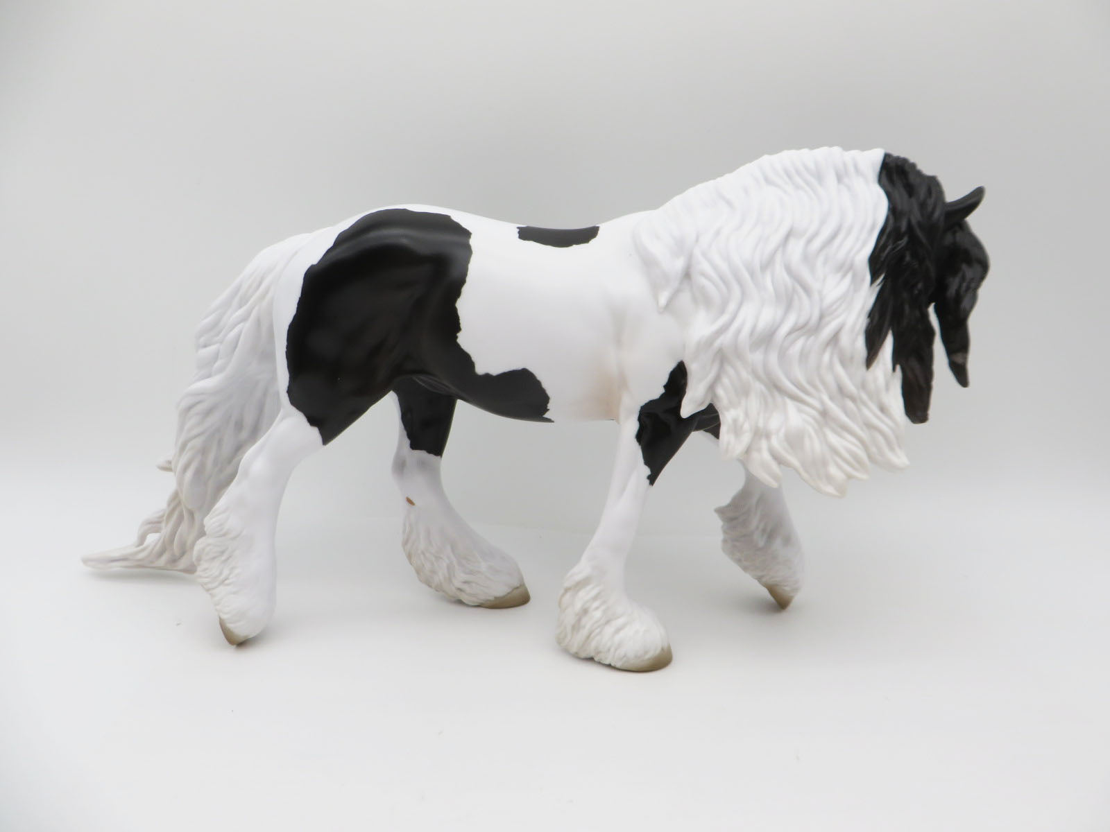 LOYALTY RELEASE Superstition LE 150 Loyalty Club 22/23 Piebald Irish Cob by Jess Hamill - 01/23