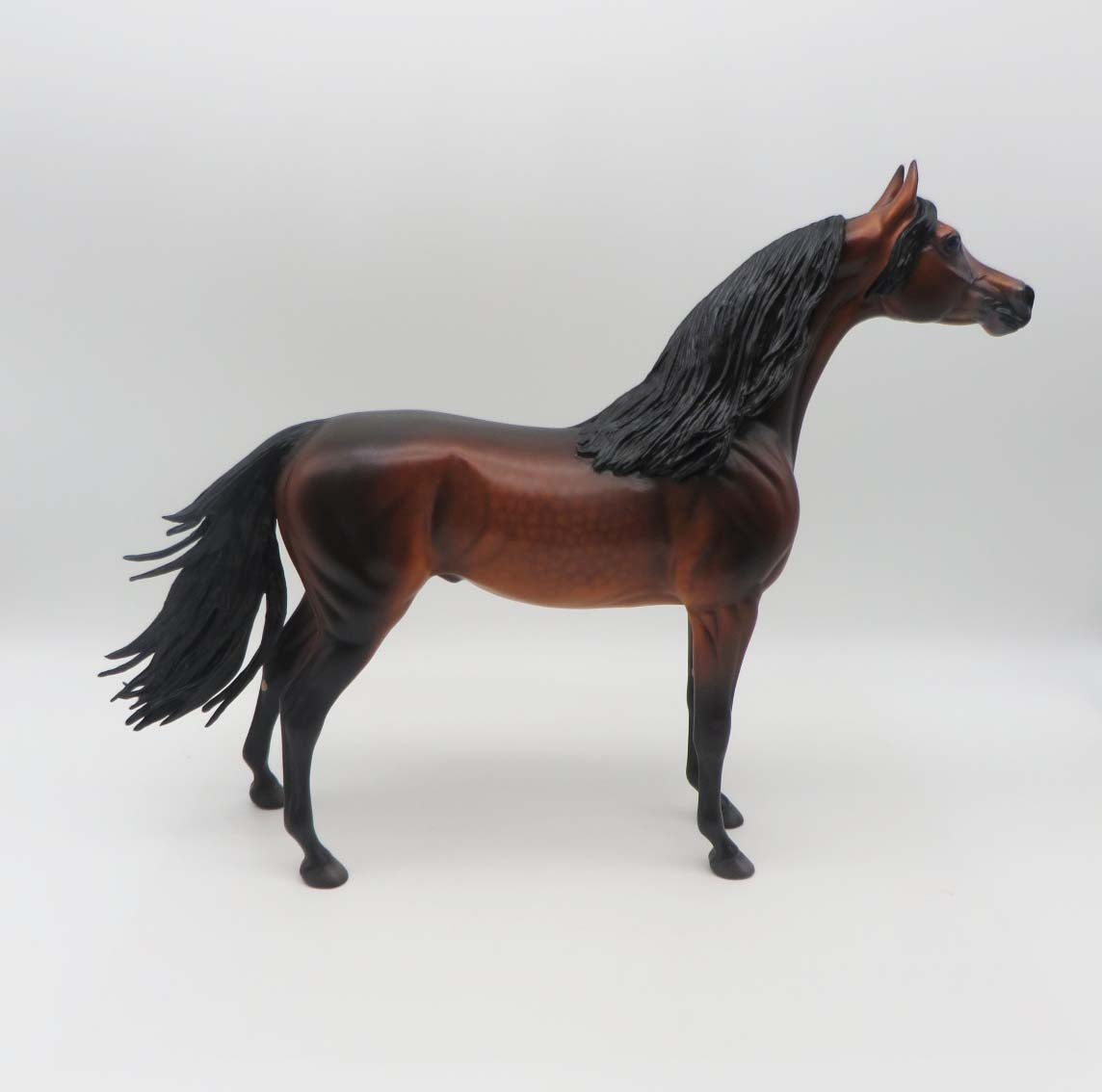 Gallagher- OOAK -Dapple Bay Arabian- By Caroline Boydston Best Offer 3/27/23