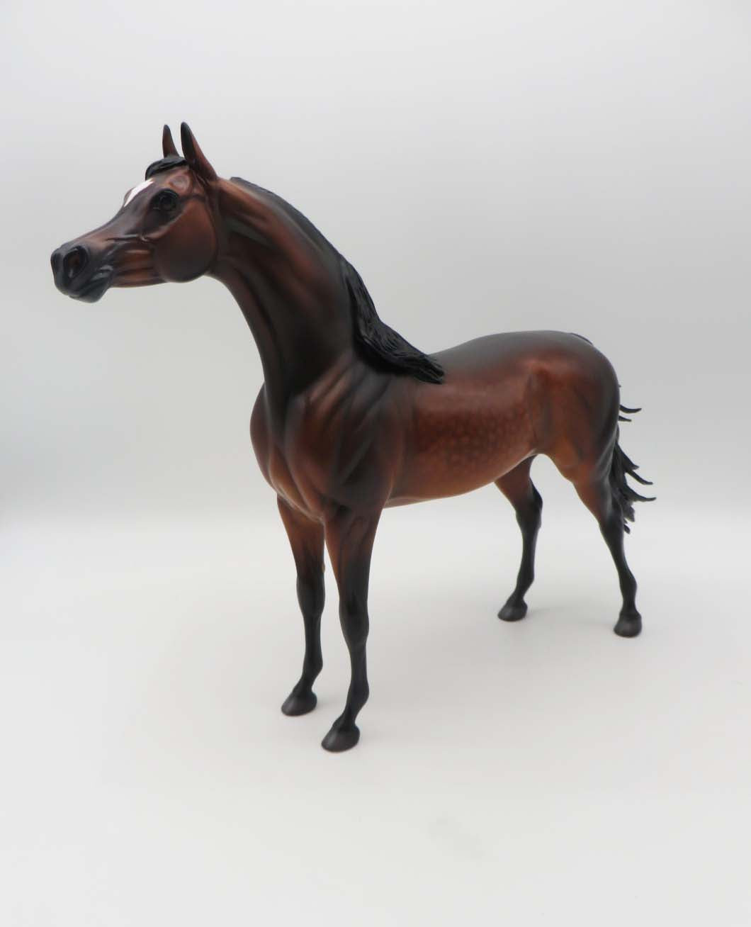 Gallagher- OOAK -Dapple Bay Arabian- By Caroline Boydston Best Offer 3/27/23