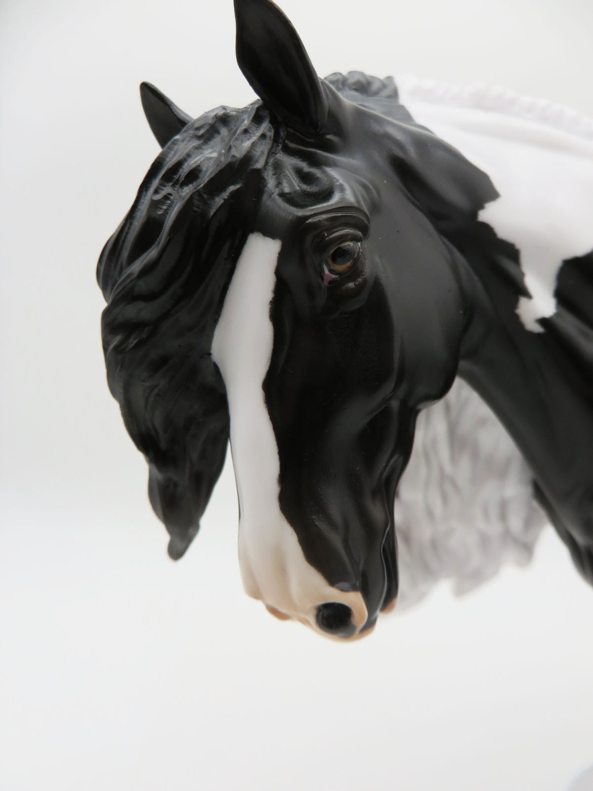 LOYALTY RELEASE Superstition LE 150 Loyalty Club 22/23 Piebald Irish Cob by Jess Hamill - 01/23