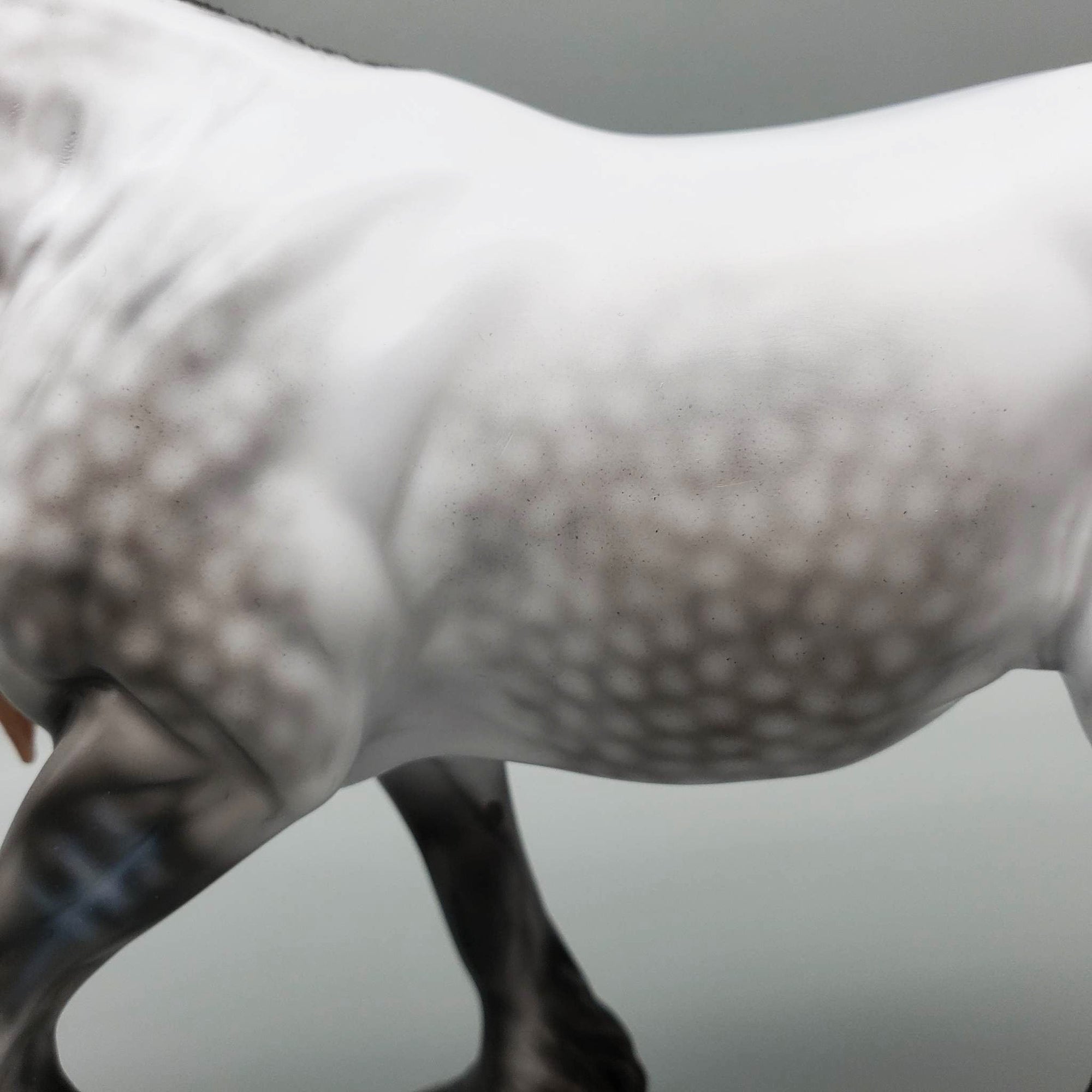 Sample of Galloway - Dappled Rose Grey Fell Pony on the Cob Mold By Ashley Palmer