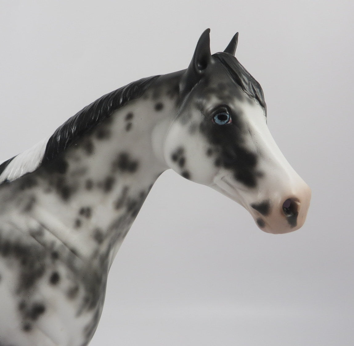 Gamma Jack-OOAK Black Sabino ISH Painted By Sheryl Leisure 2/21