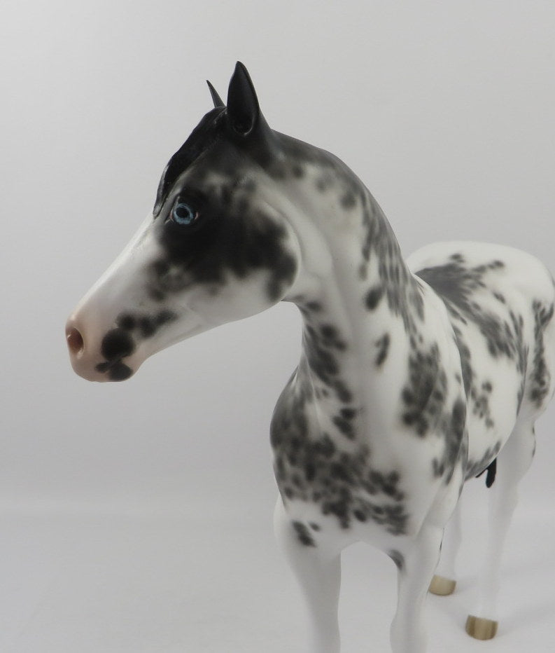 Gamma Jack-OOAK Black Sabino ISH Painted By Sheryl Leisure 2/21