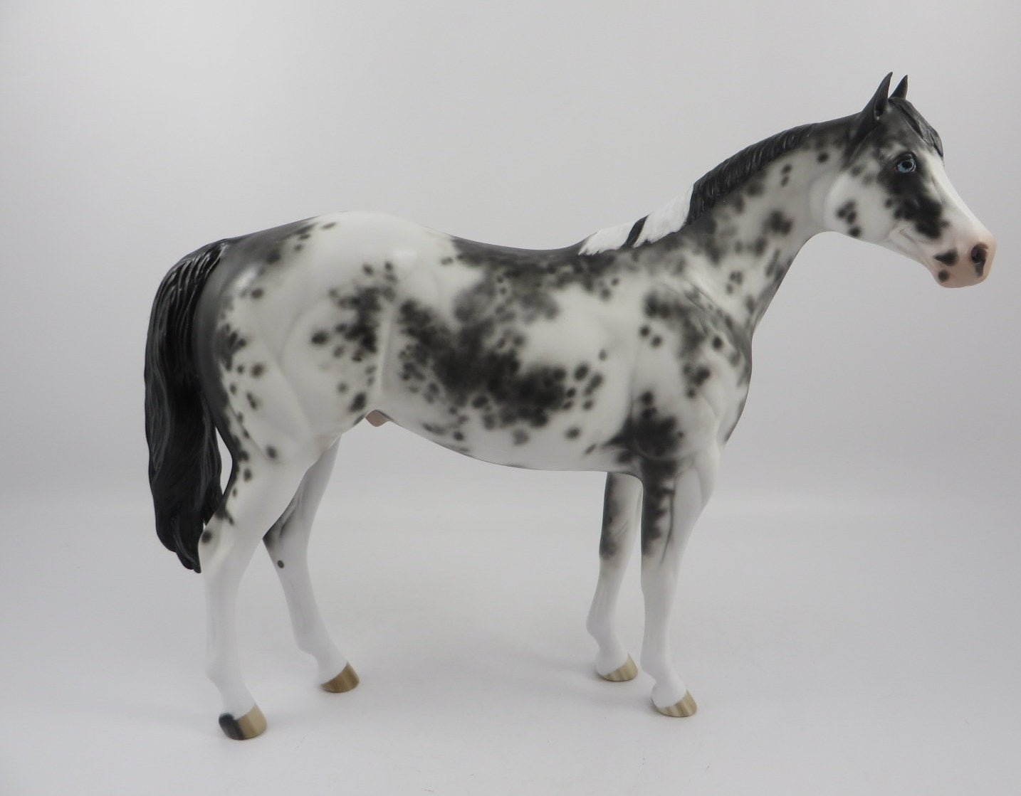 Gamma Jack-OOAK Black Sabino ISH Painted By Sheryl Leisure 2/21