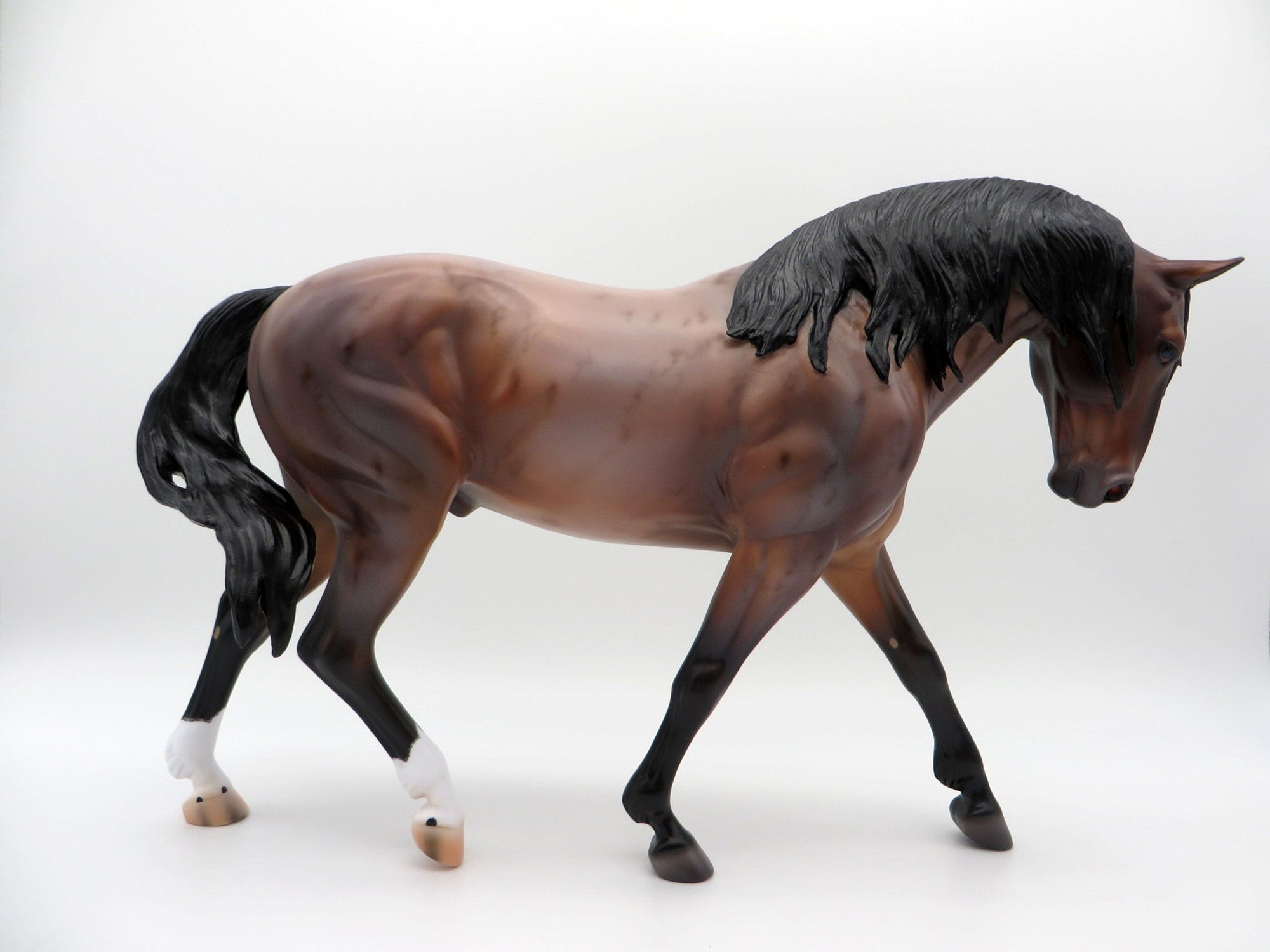 Ganges-OOAK Bay Roan Irish Drafter By Caroline Boydston 4/5/21