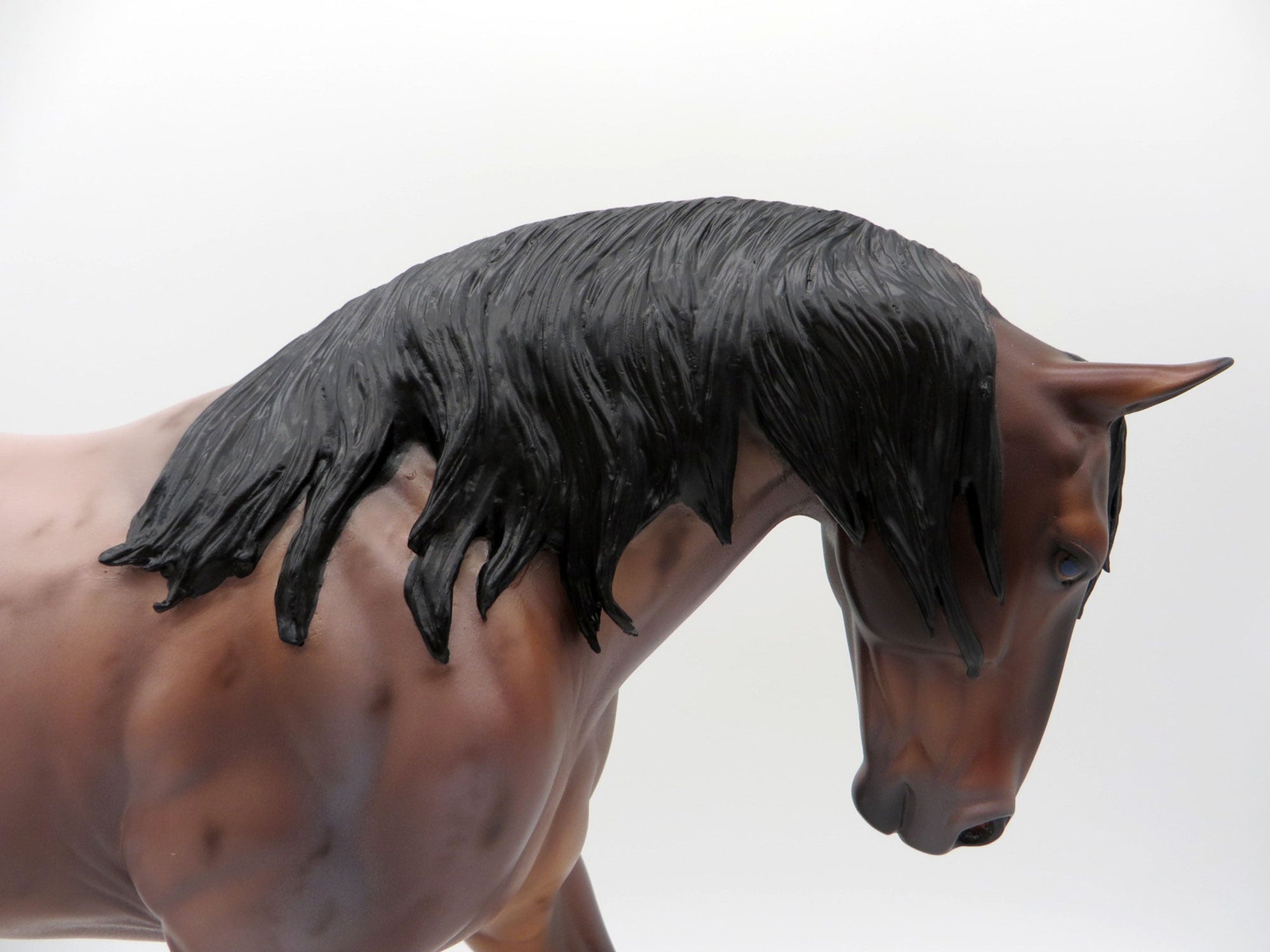 Ganges-OOAK Bay Roan Irish Drafter By Caroline Boydston 4/5/21