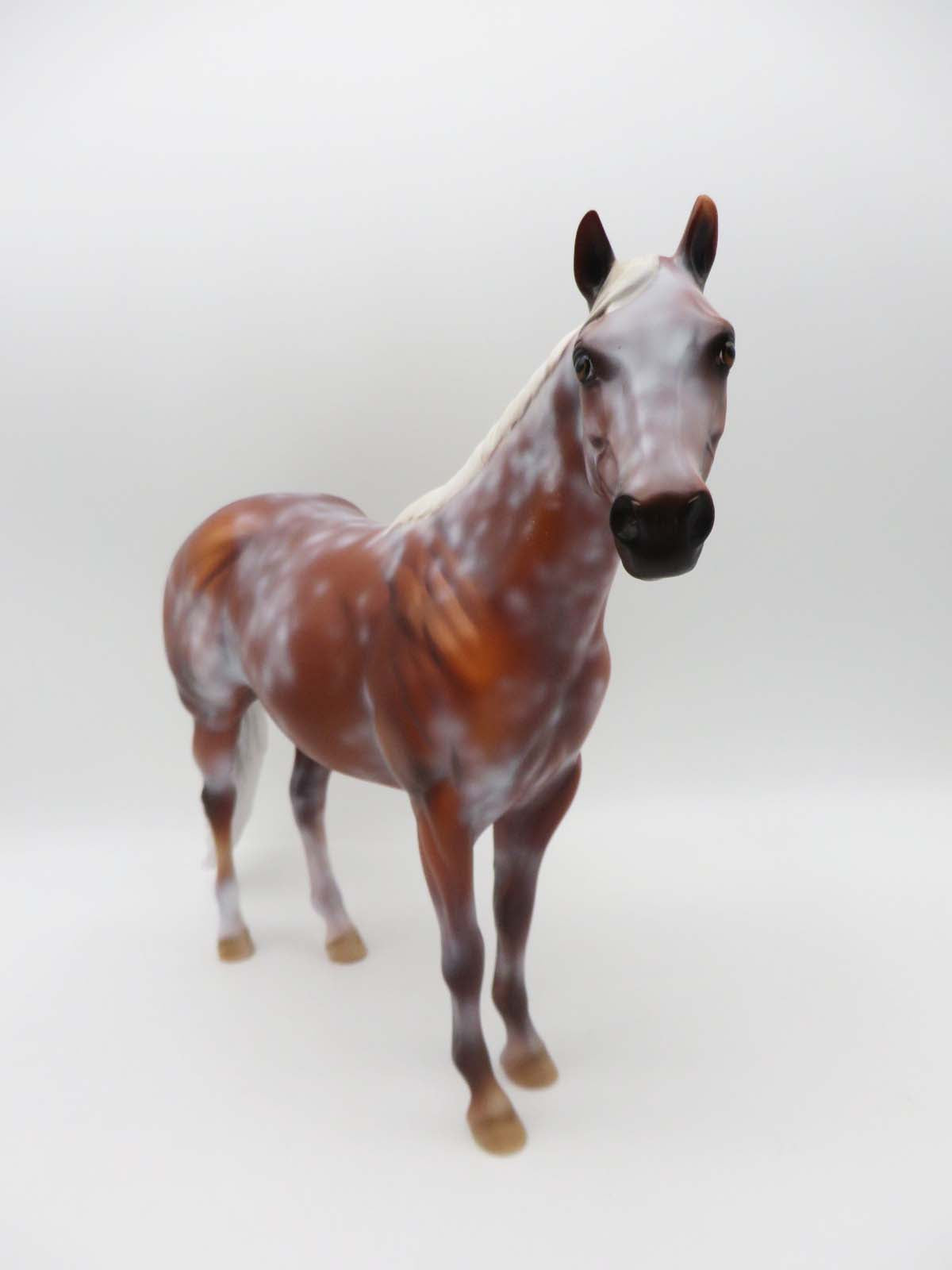 General Treat - OOAK - Flaxen Chestnut Sabino Ideal Stock Horse By Dawn Quick - SHCF23