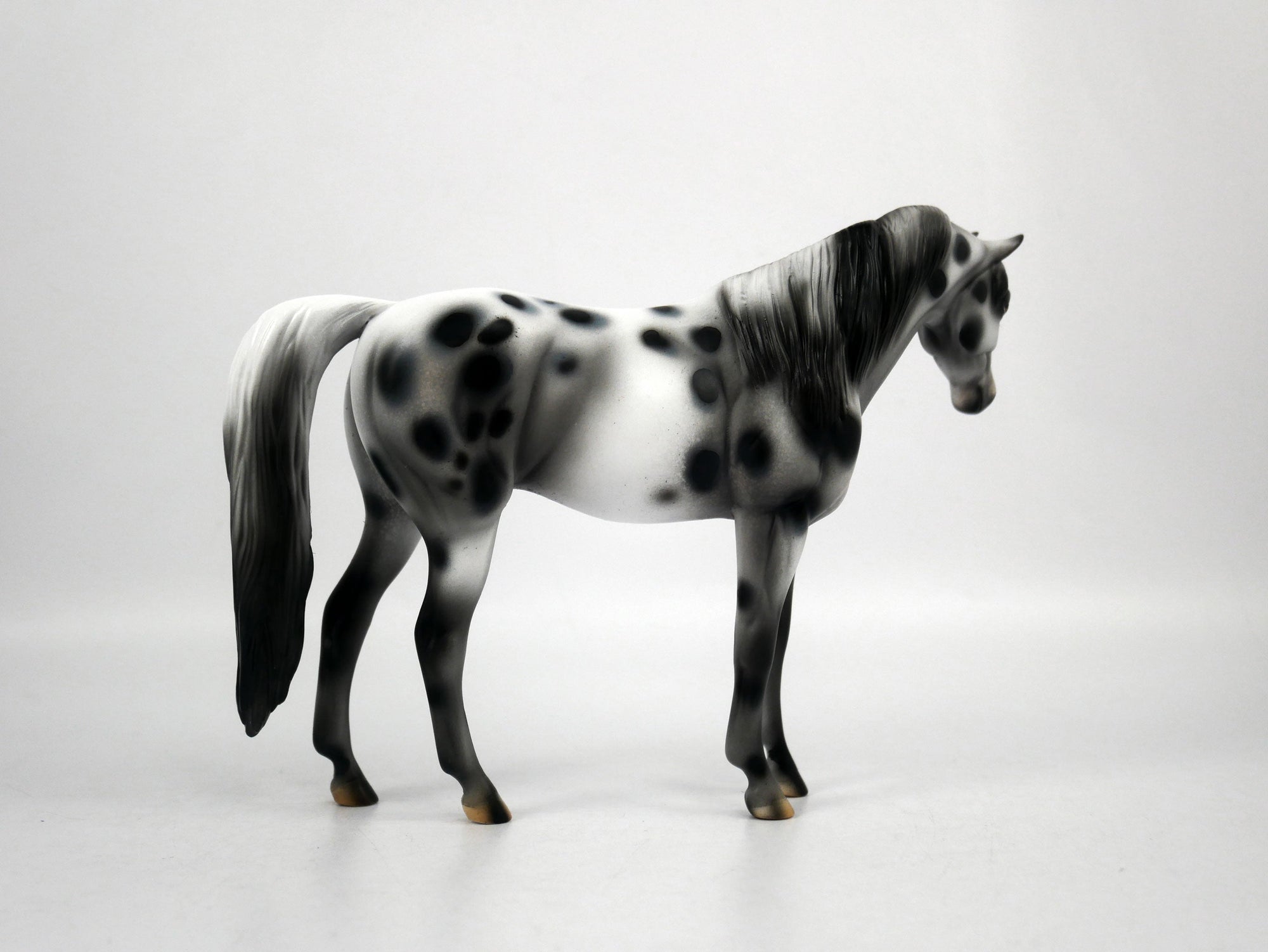 Genesis-OOAK Appaloosa Pebbles Arabian Mare 1/8/21