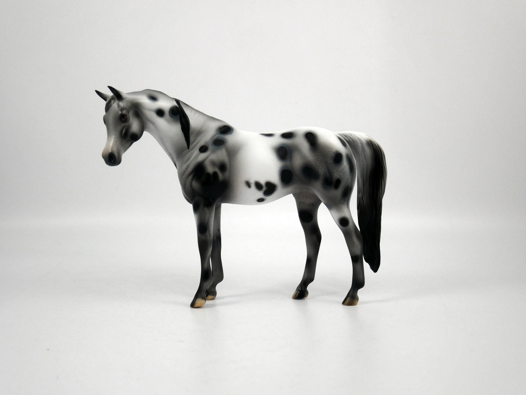 Genesis-OOAK Appaloosa Pebbles Arabian Mare 1/8/21
