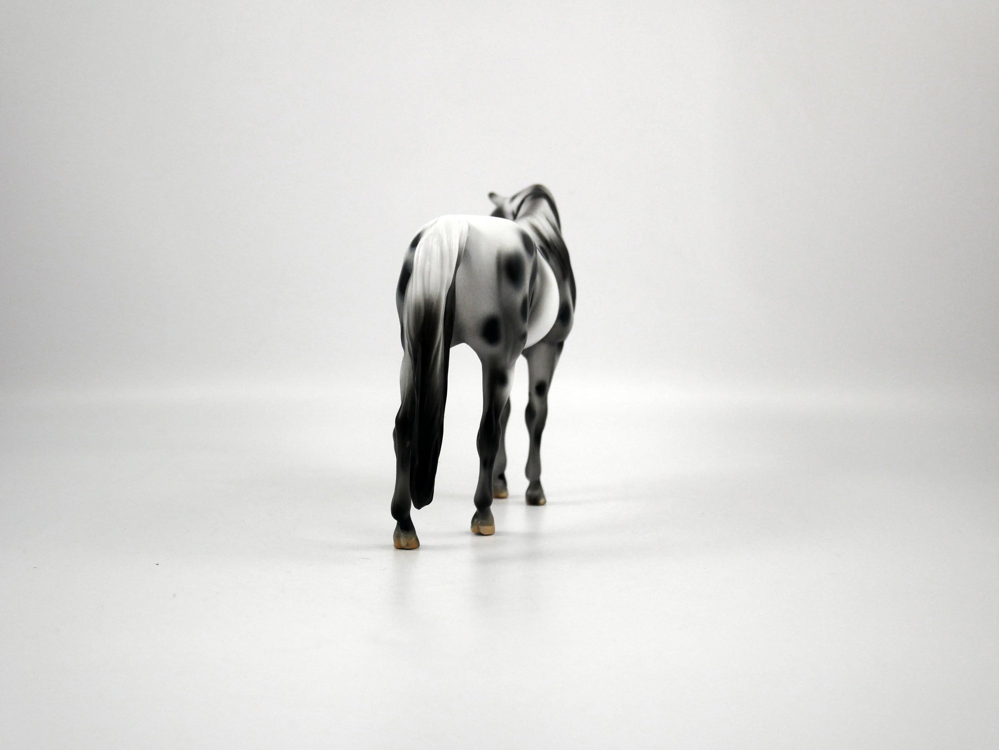 Genesis-OOAK Appaloosa Pebbles Arabian Mare 1/8/21