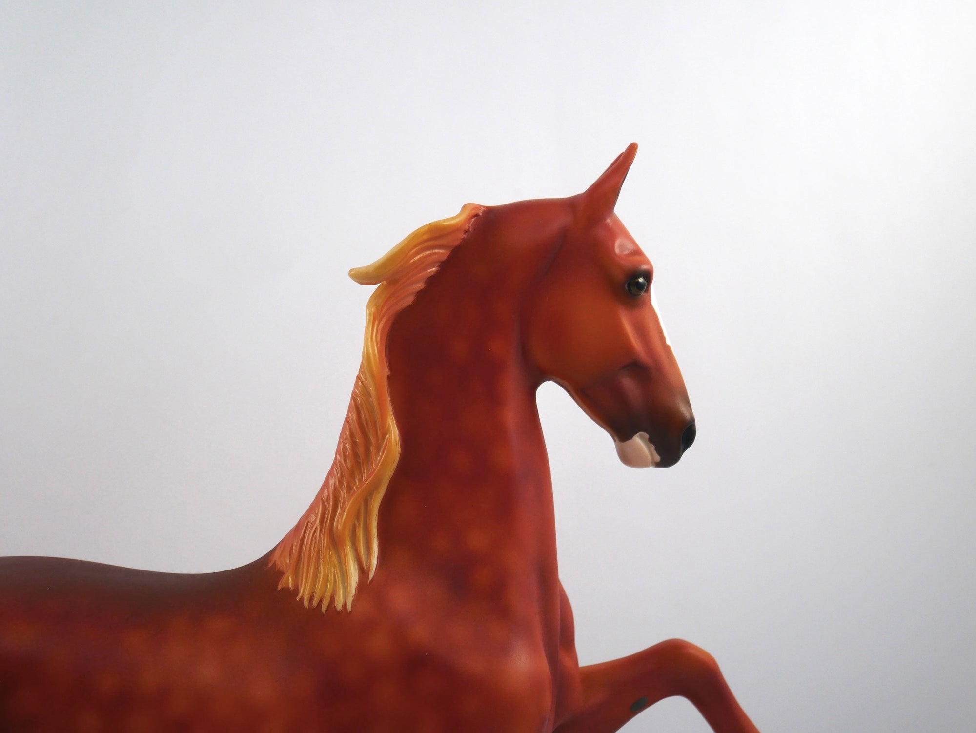 GOAL-OOAK Chestnut Paint Saddlebred SB21