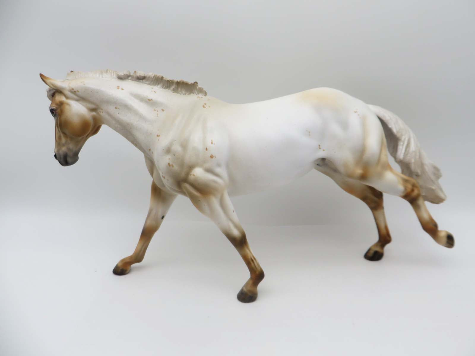 Golden Opportunity - OOAK Palomino Varnish Roan Appaloosa Running Stock Horse by Julie Keim SHCF23