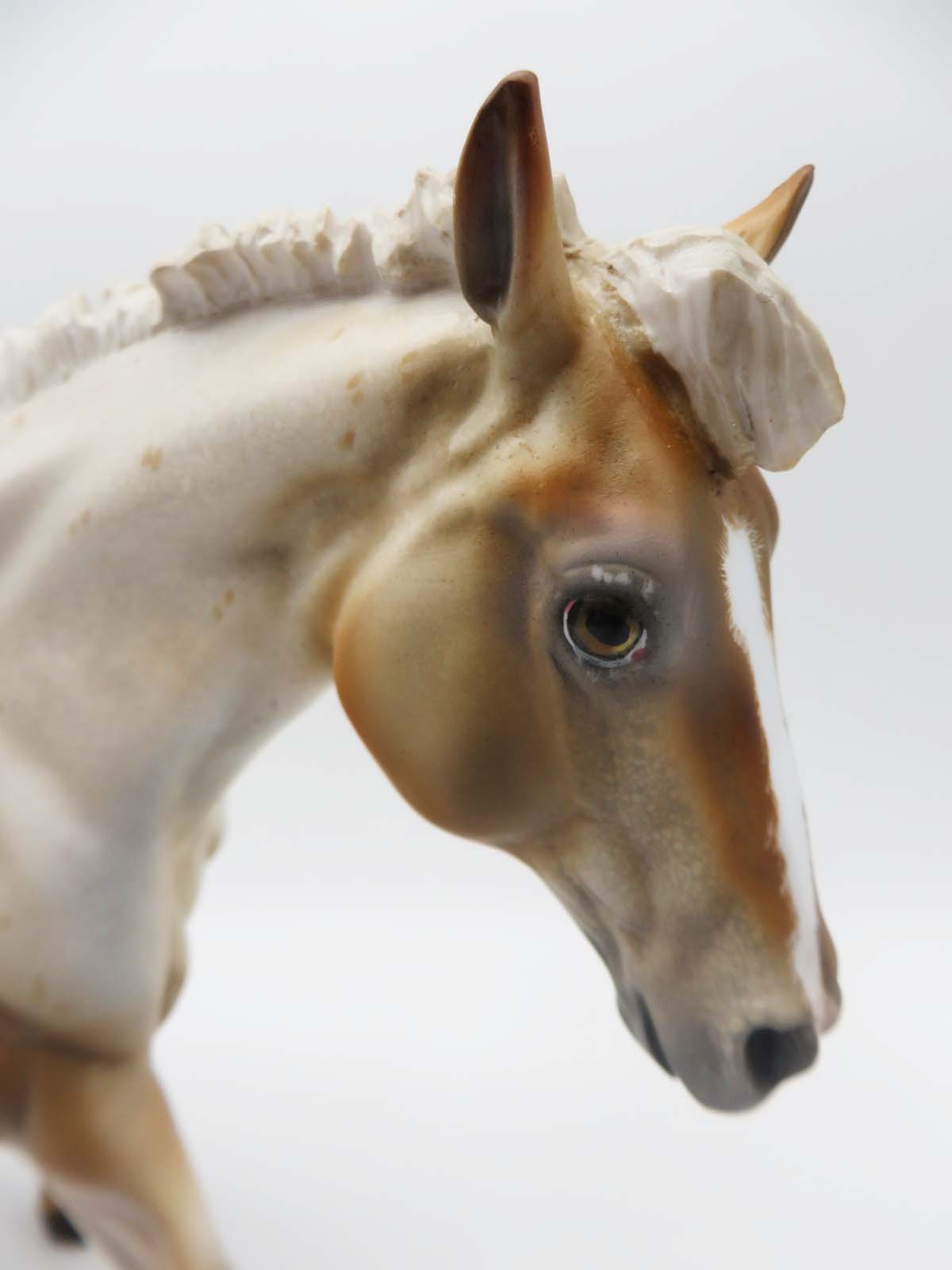 Golden Opportunity - OOAK Palomino Varnish Roan Appaloosa Running Stock Horse by Julie Keim SHCF23