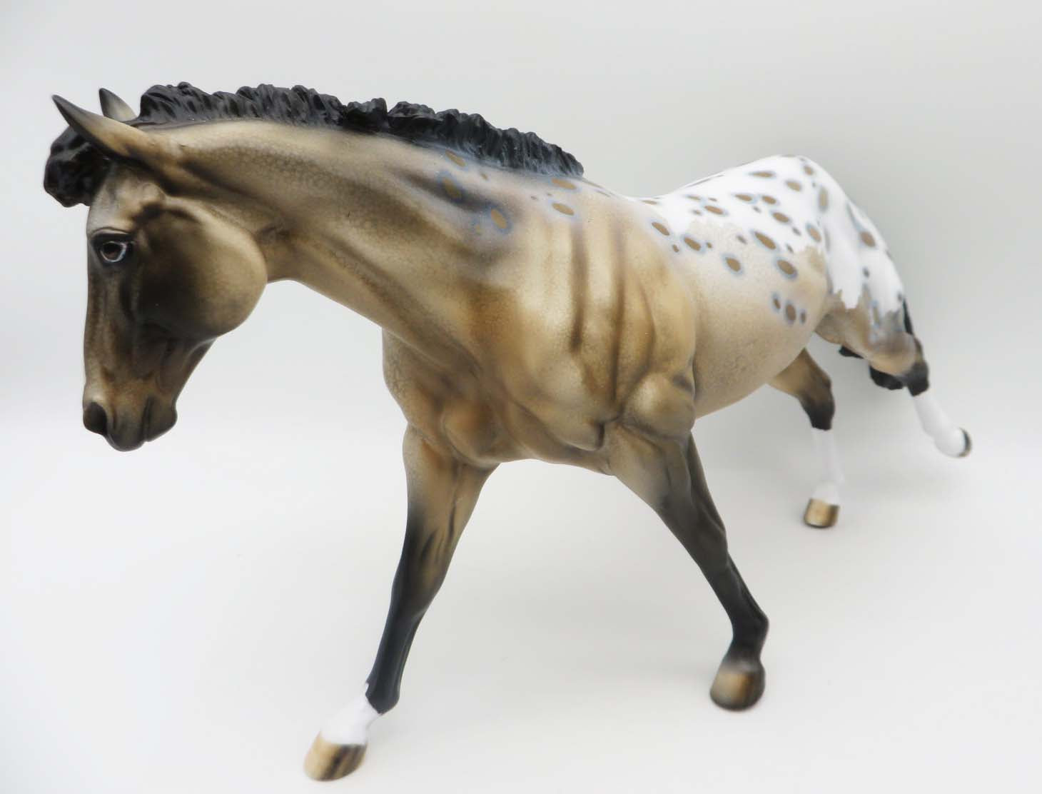 Goldrush OOAK Buckskin Appaloosa Running Stock Horse Painted BY Dawn SHCF23