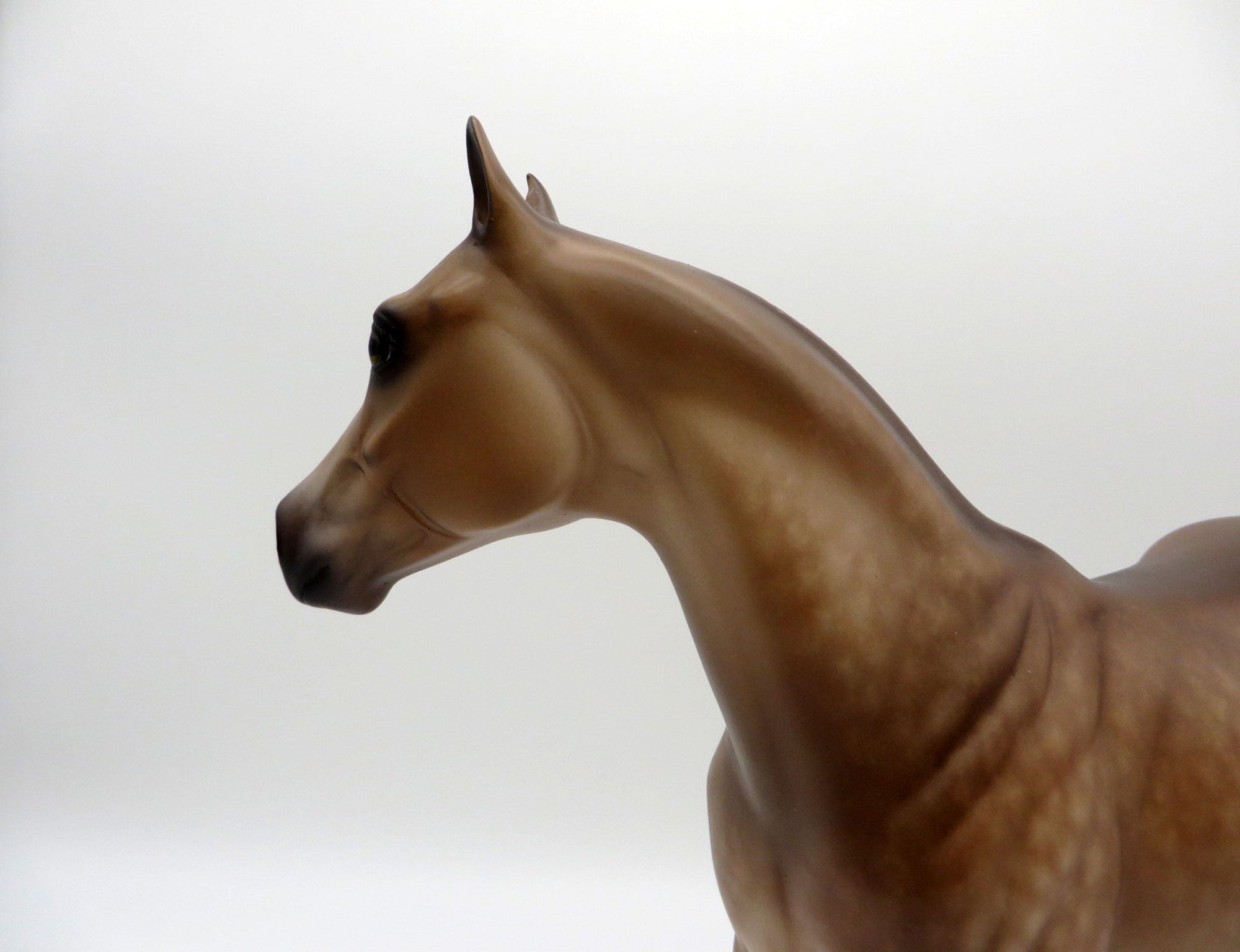 Good Sam-OOAK Dapple Light Sorrel ISH Painted by Sheryl Leisure 8/1/21