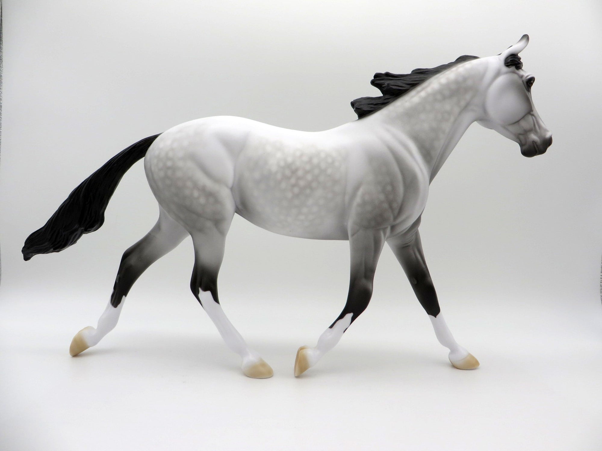 Grey Skies-OOAK Dapple Grey Palouse SHCF 2021