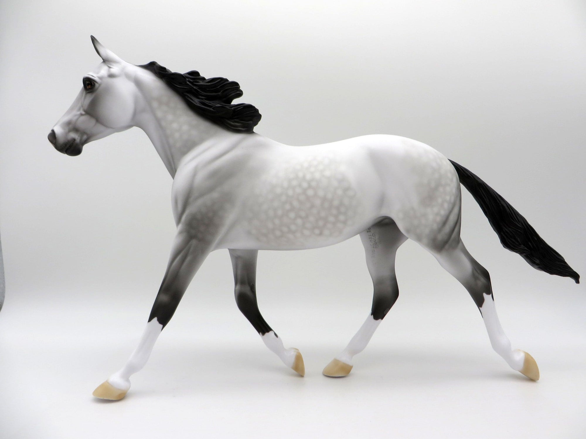 Grey Skies-OOAK Dapple Grey Palouse SHCF 2021